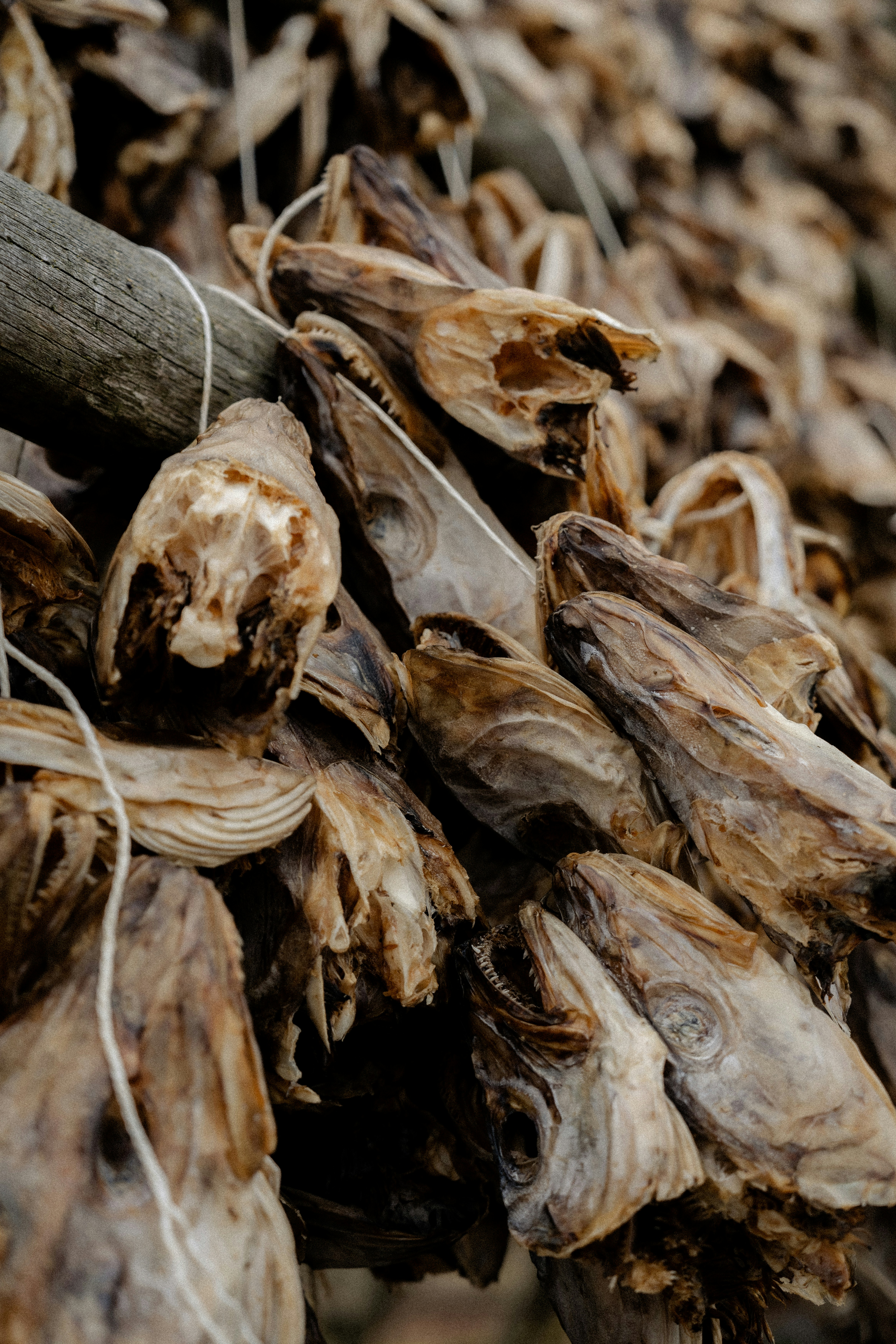 Photo by xandrovandewalle