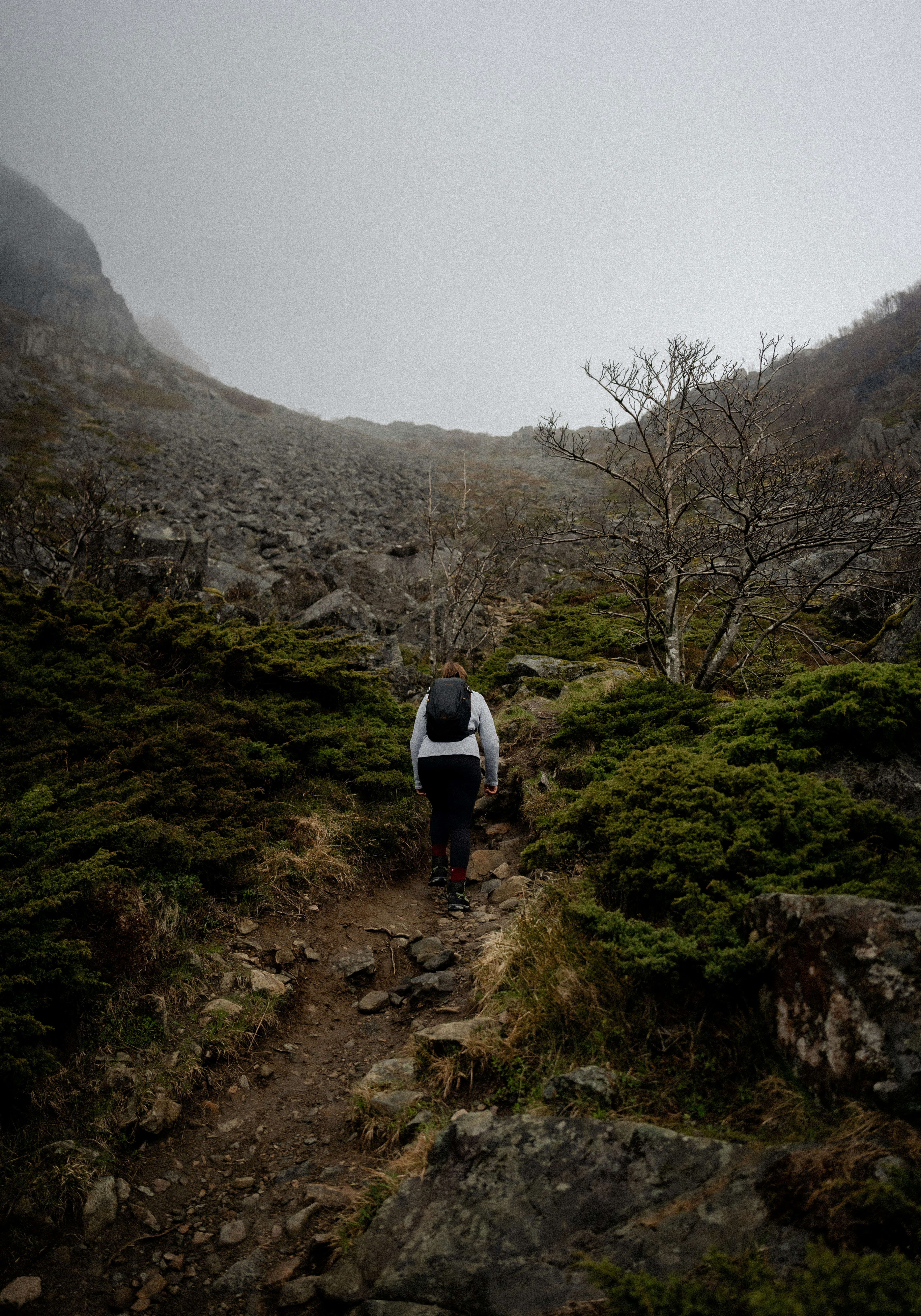 Photo by xandrovandewalle