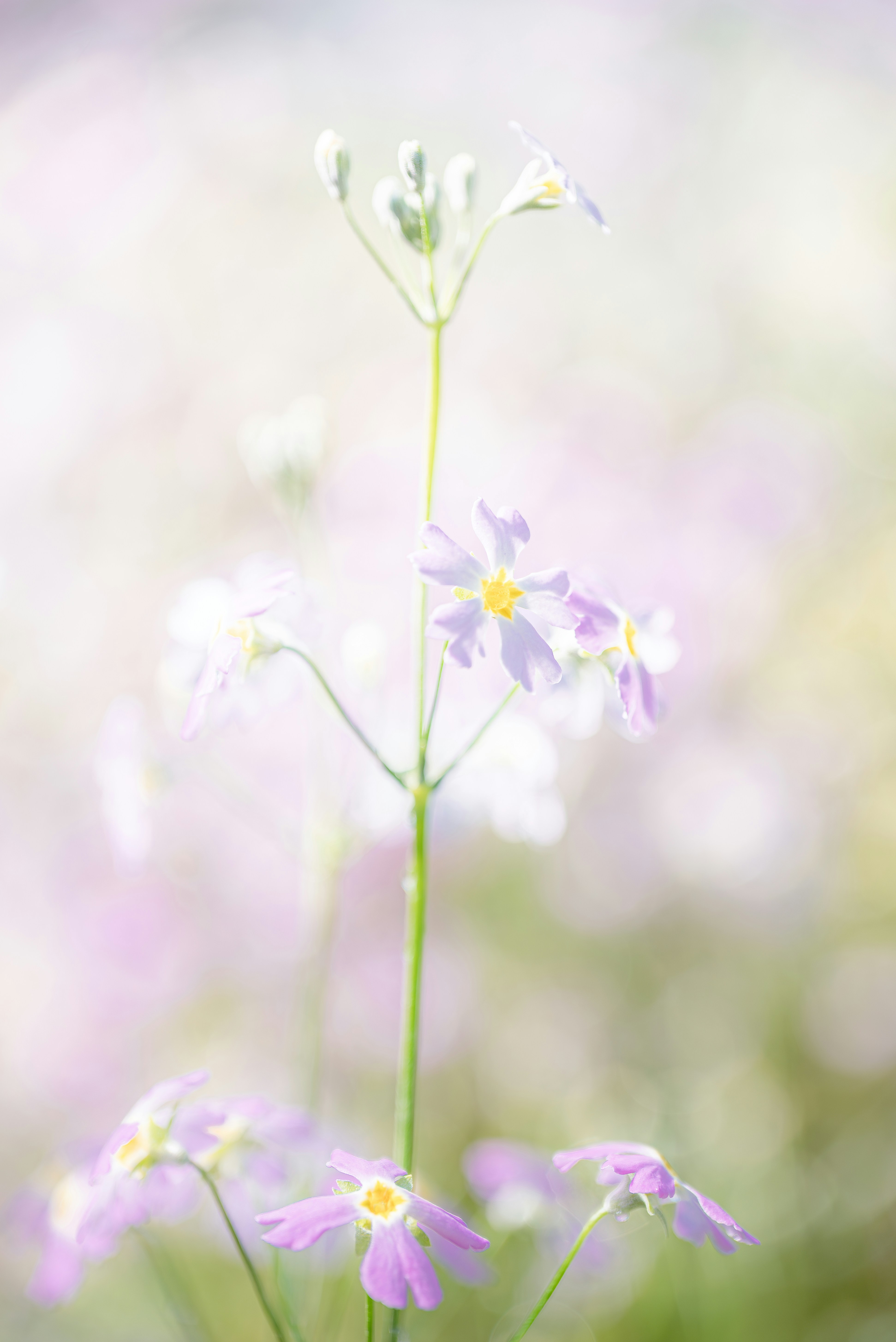 Photo by jetztabertempo