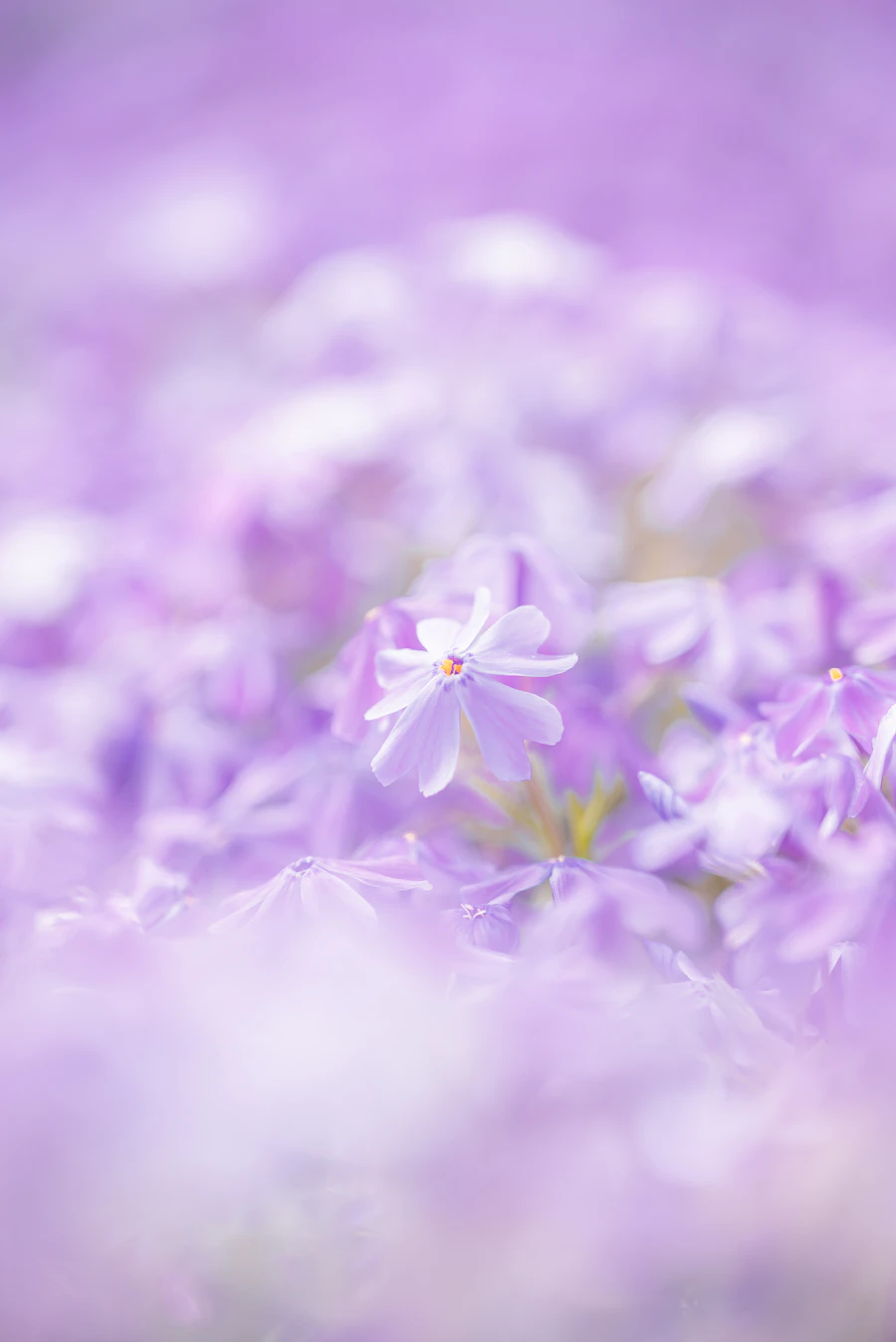 Commercial truck on a highway for road freight