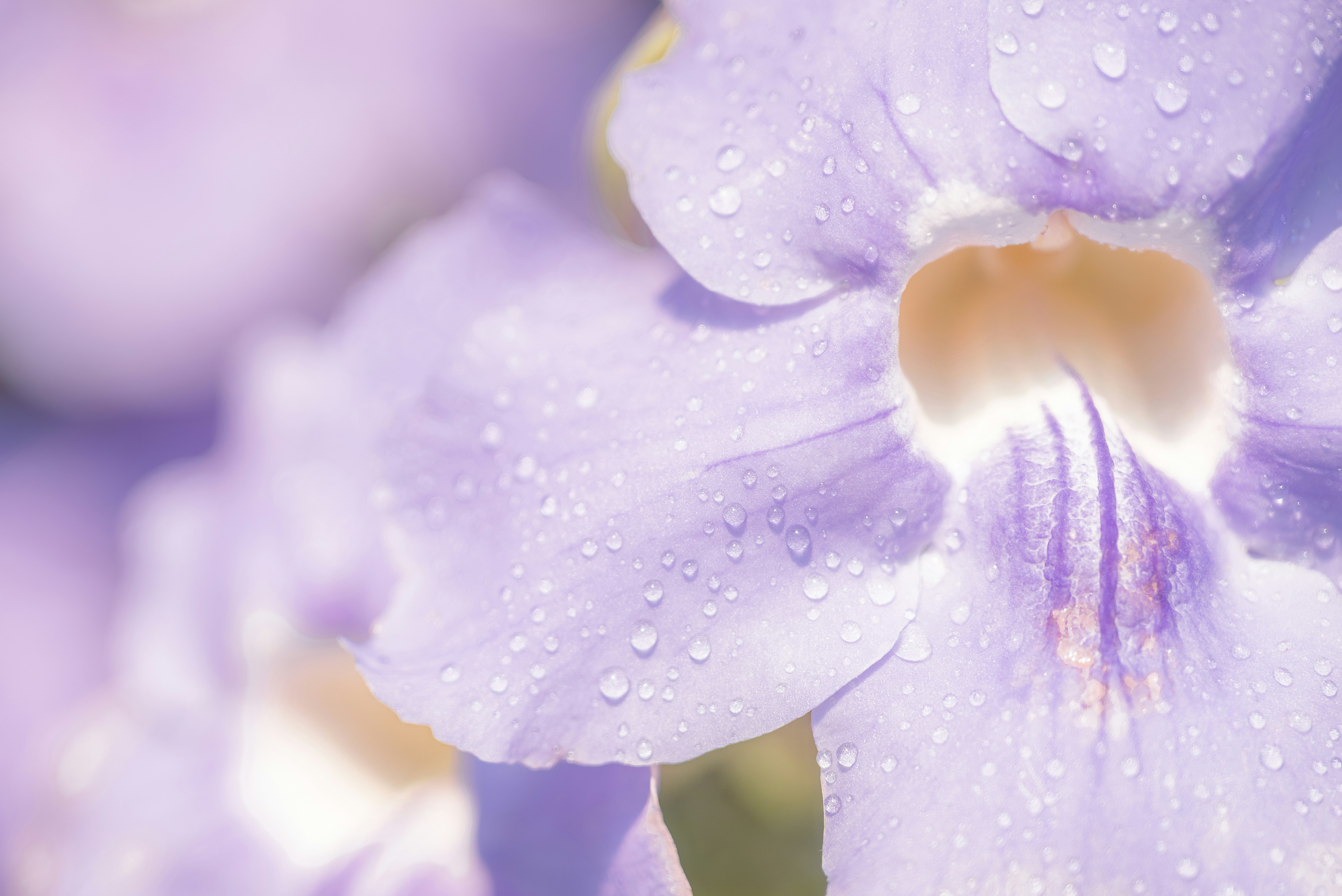 Photo by jetztabertempo