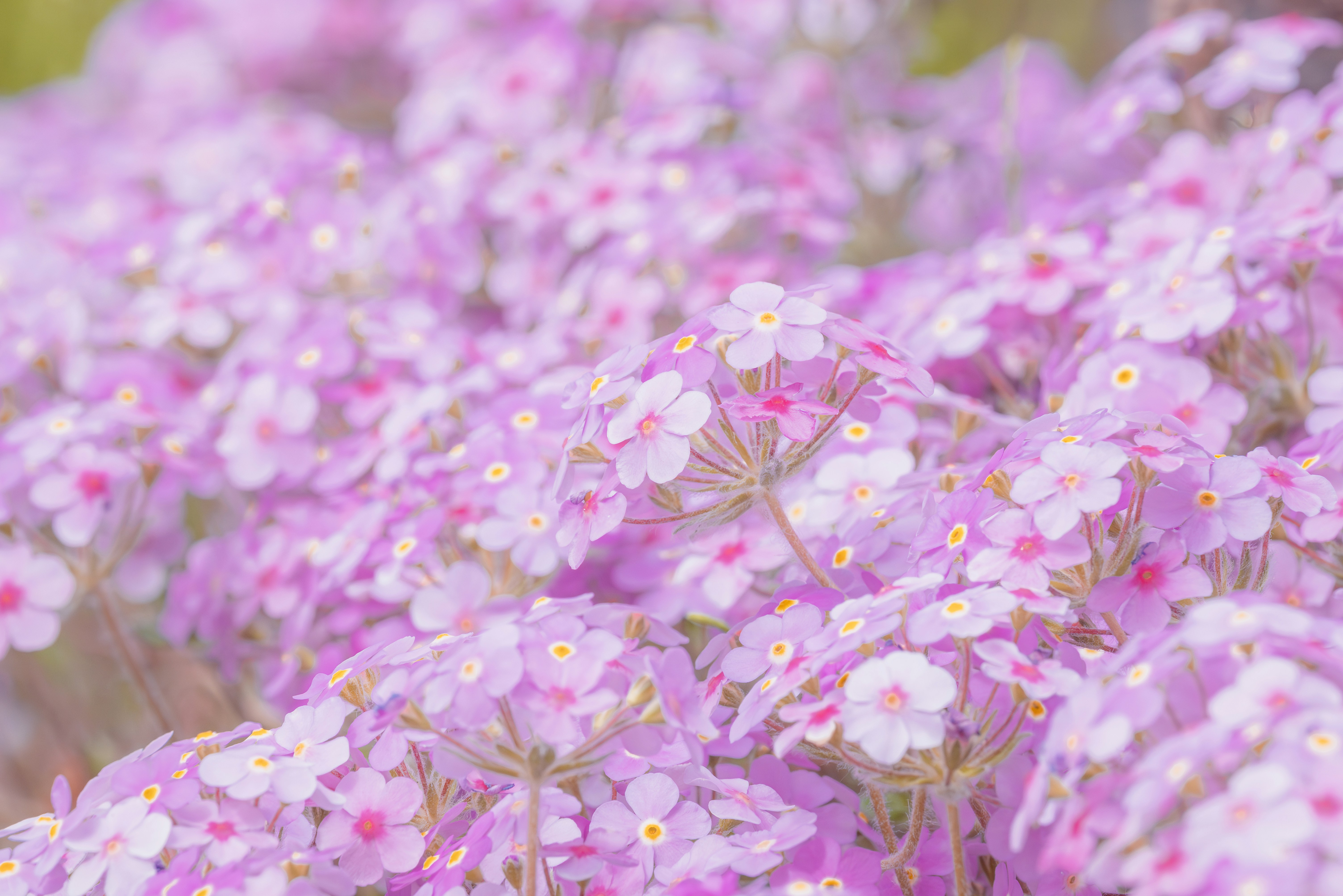 Photo by jetztabertempo