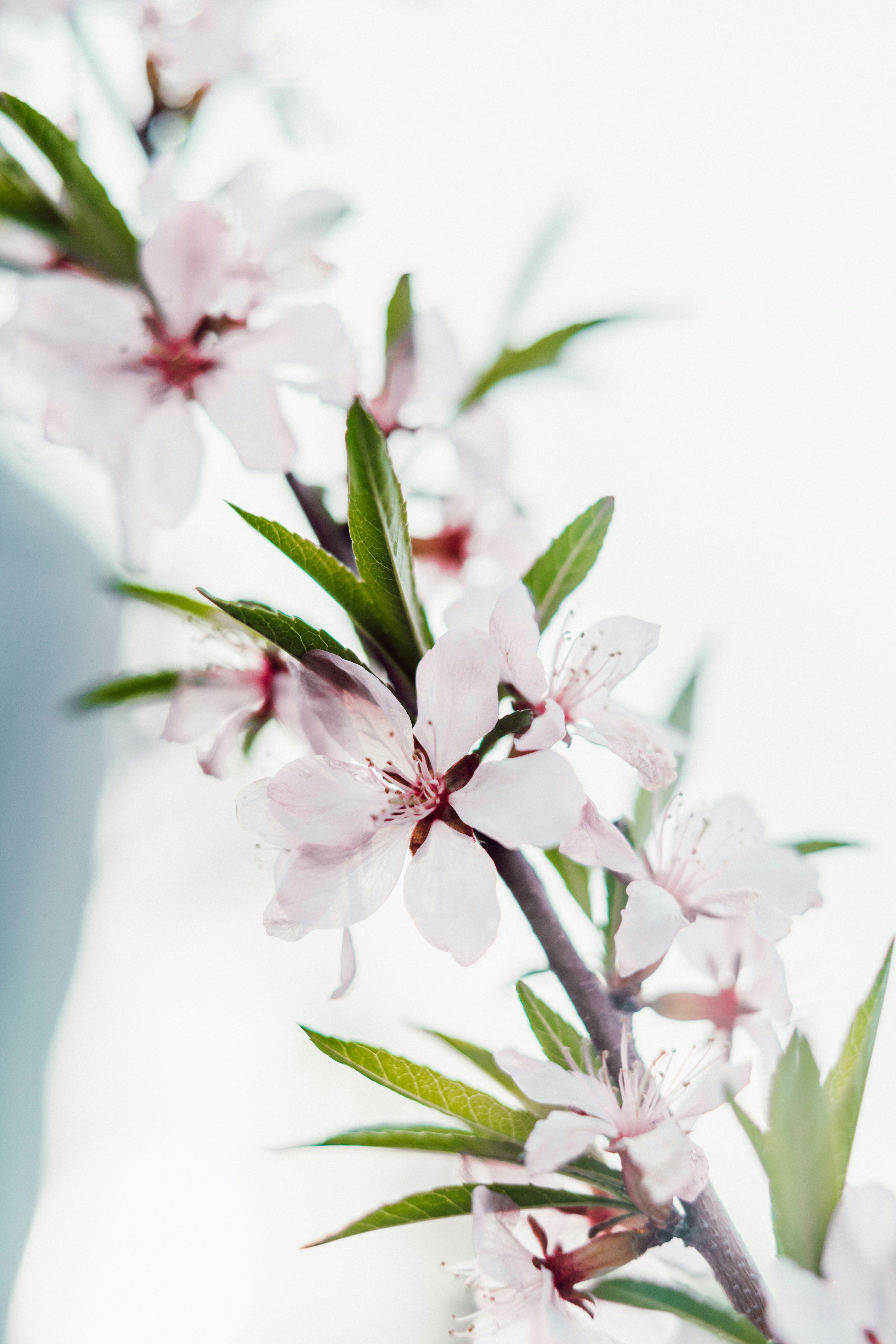 Photo by anamnesis33