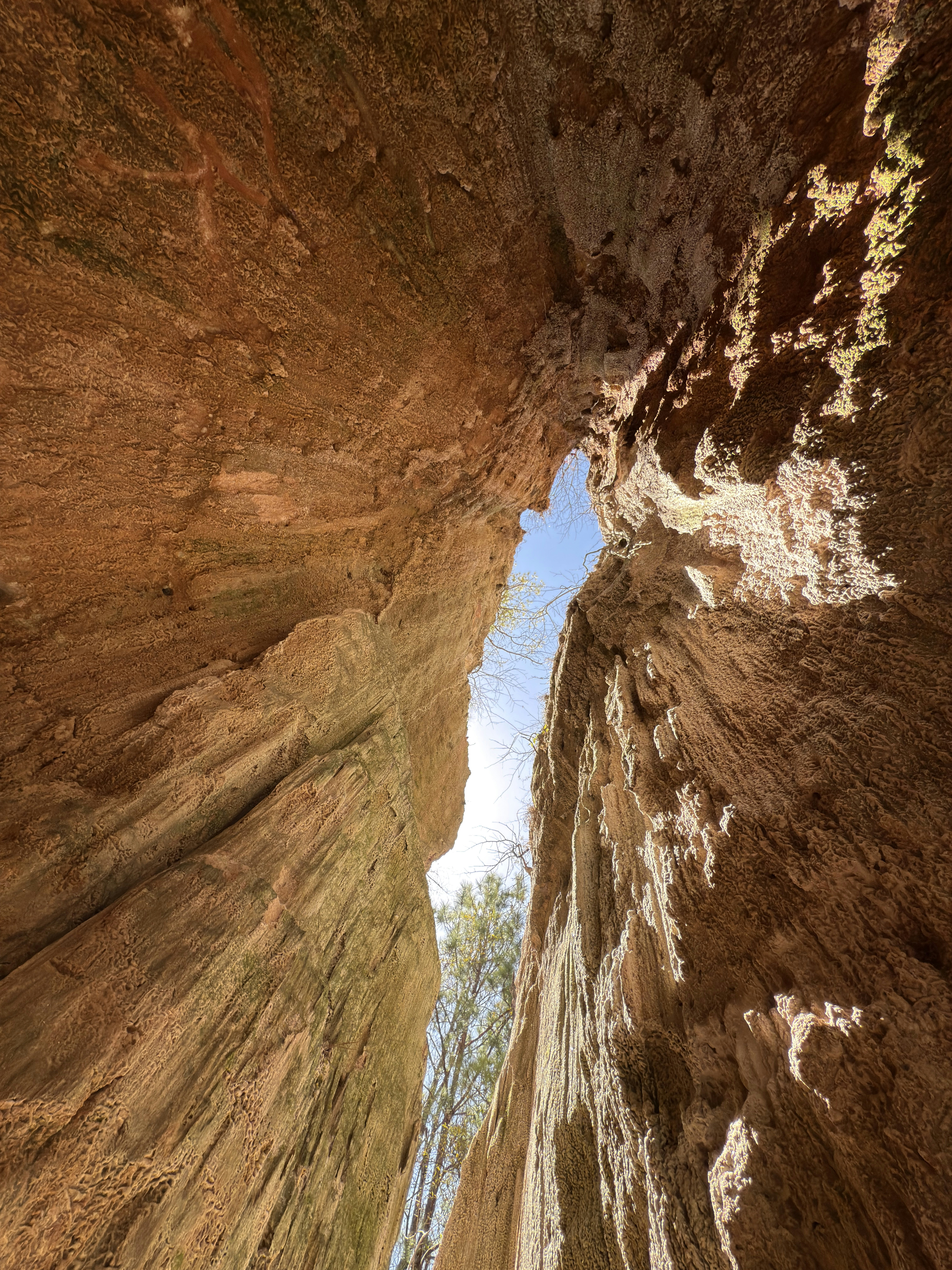 Photo by eliijahmoss