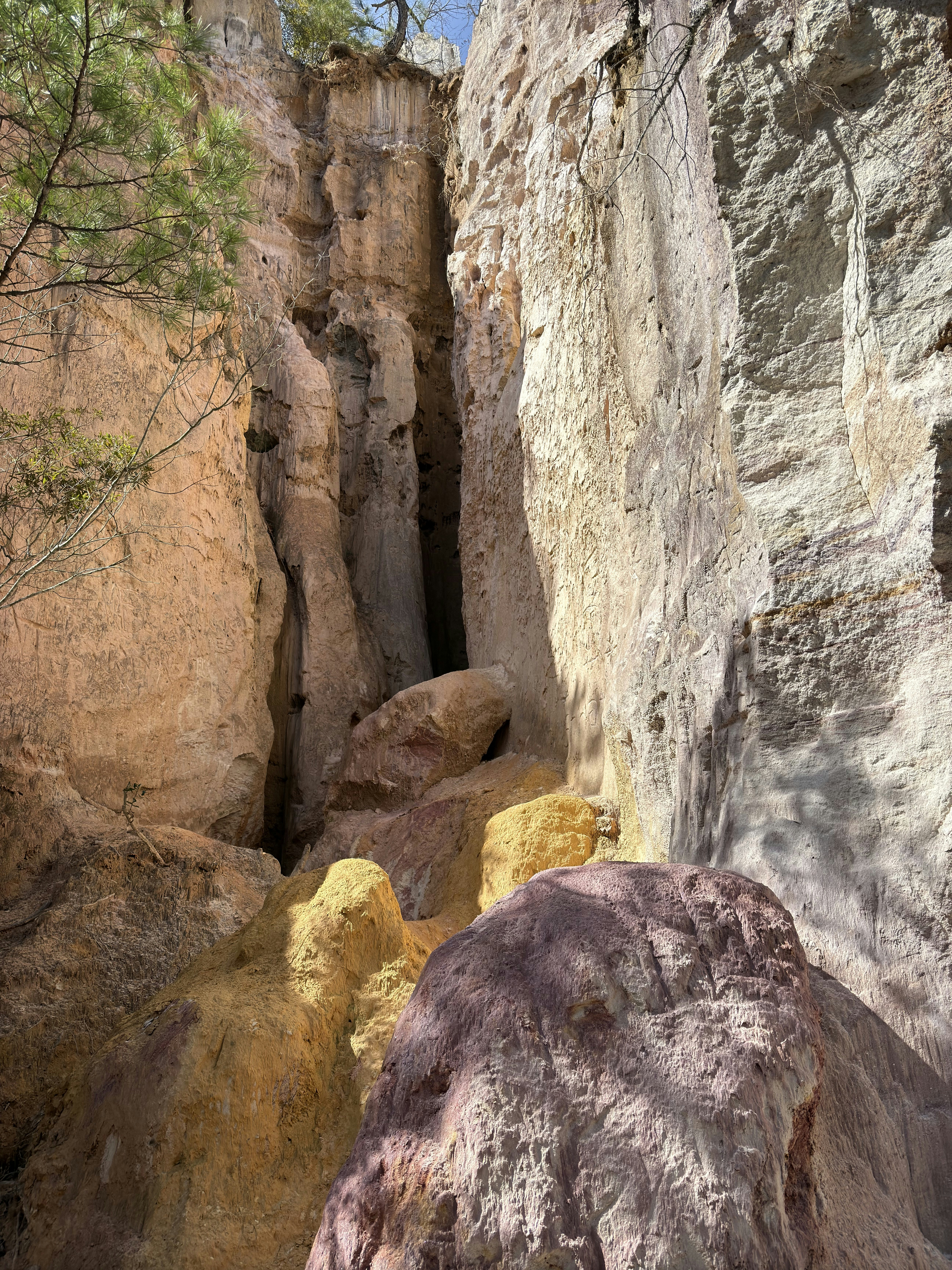 Photo by eliijahmoss