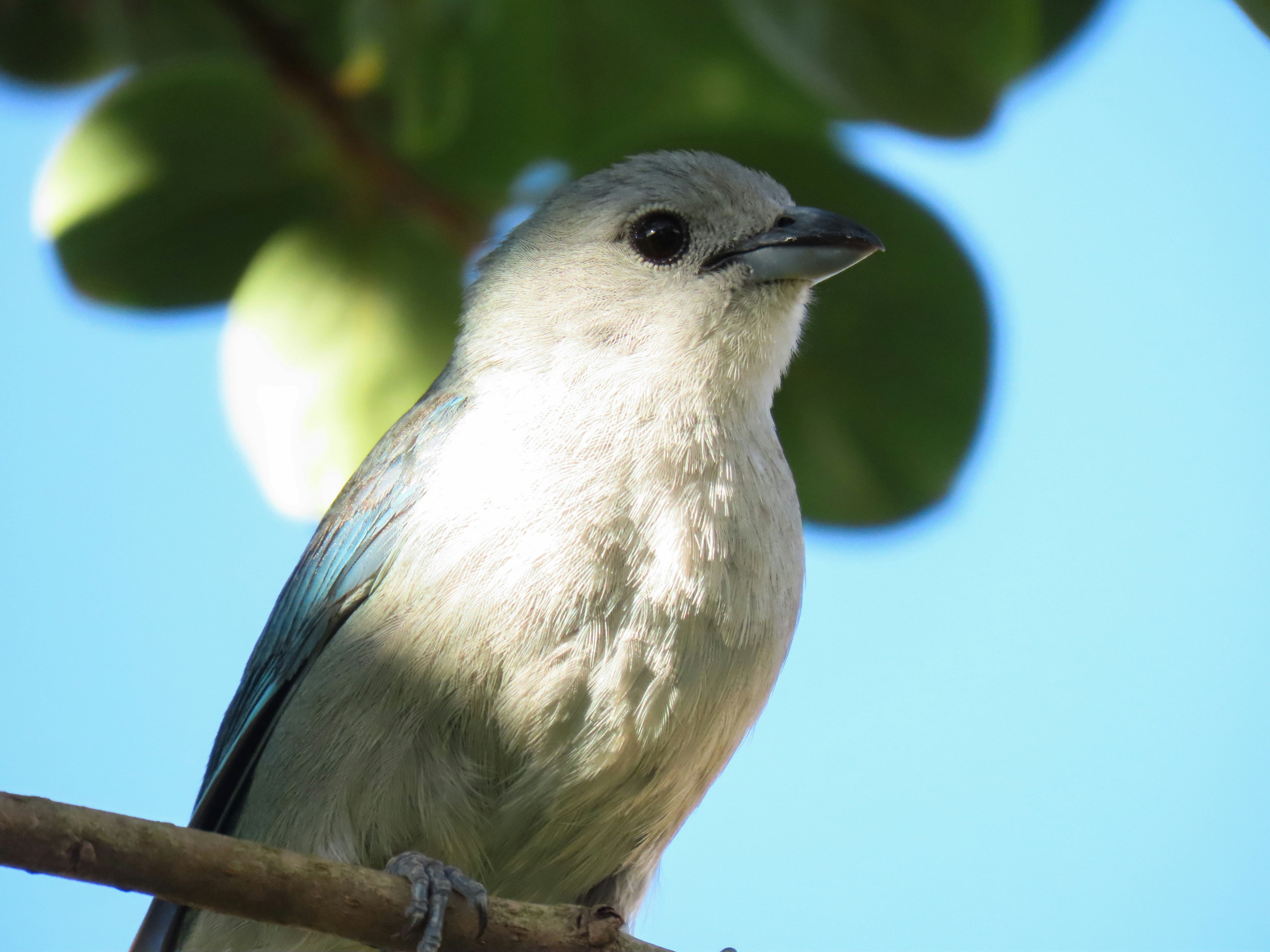 Photo by patricianicoloso