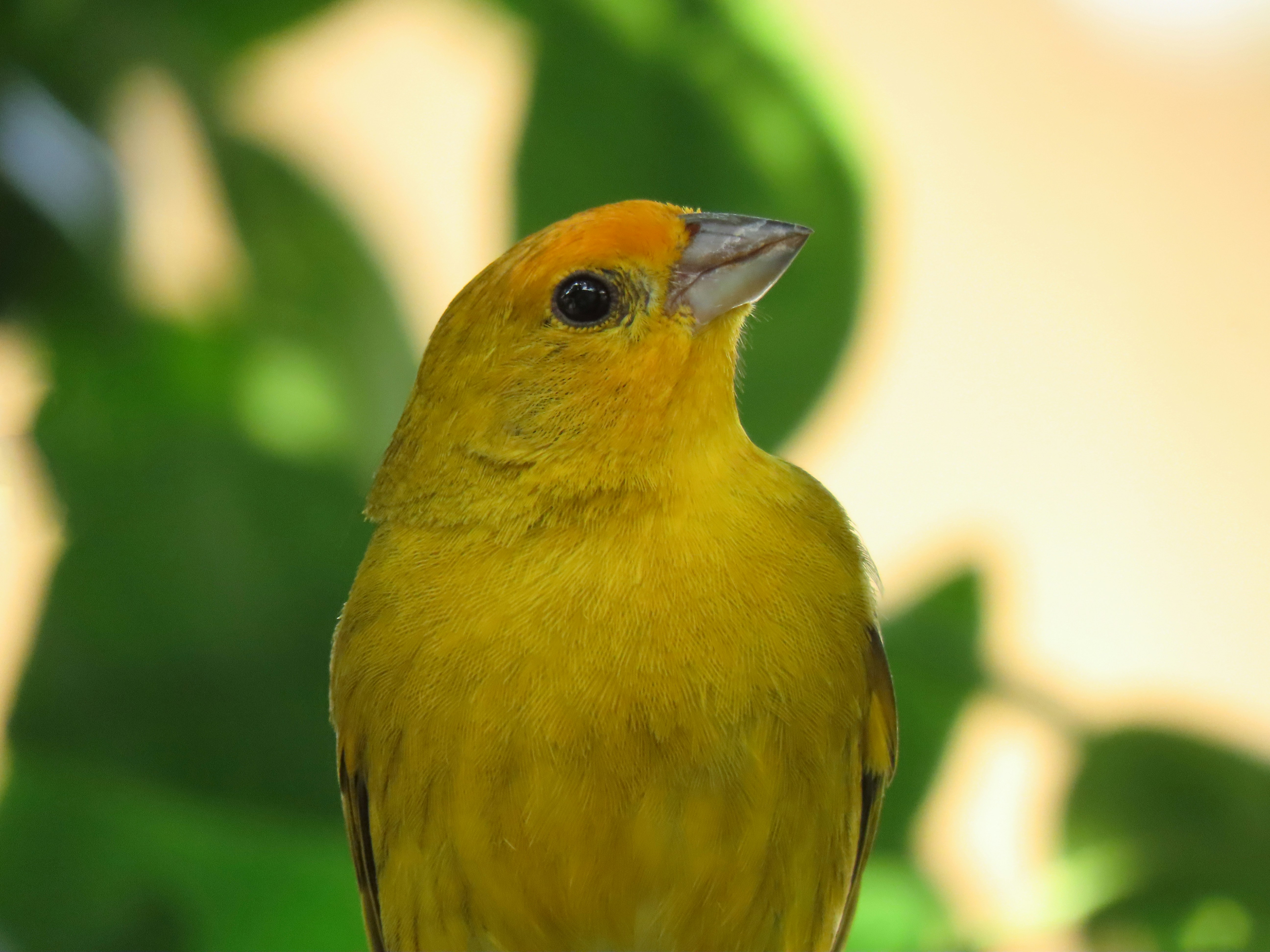 Photo by patricianicoloso