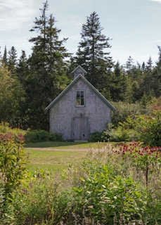 A rustic barn sits amidst lush greenery.