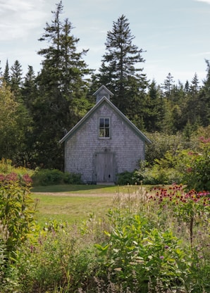A rustic barn sits amidst lush greenery.