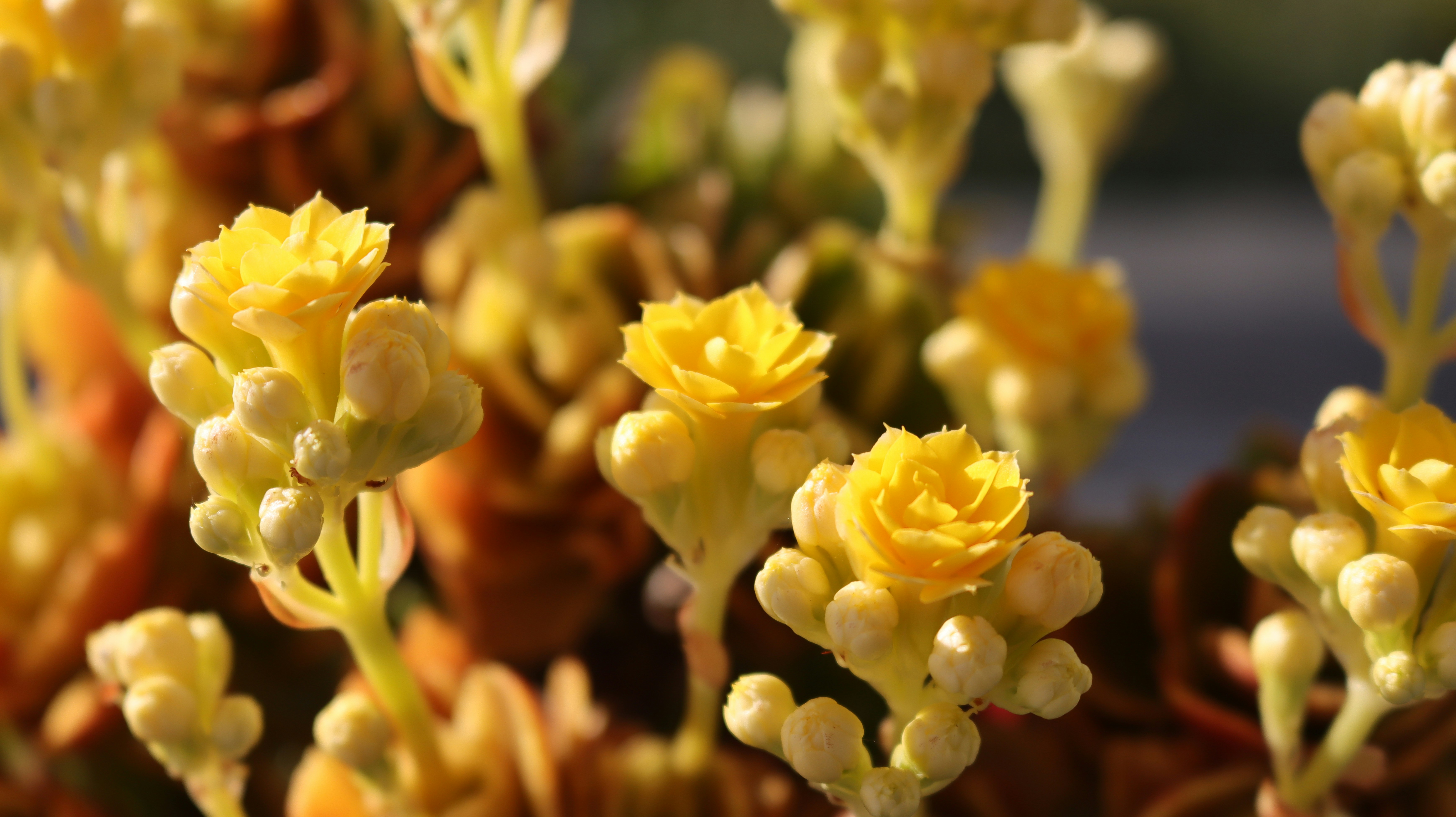 Photo by brett_mills