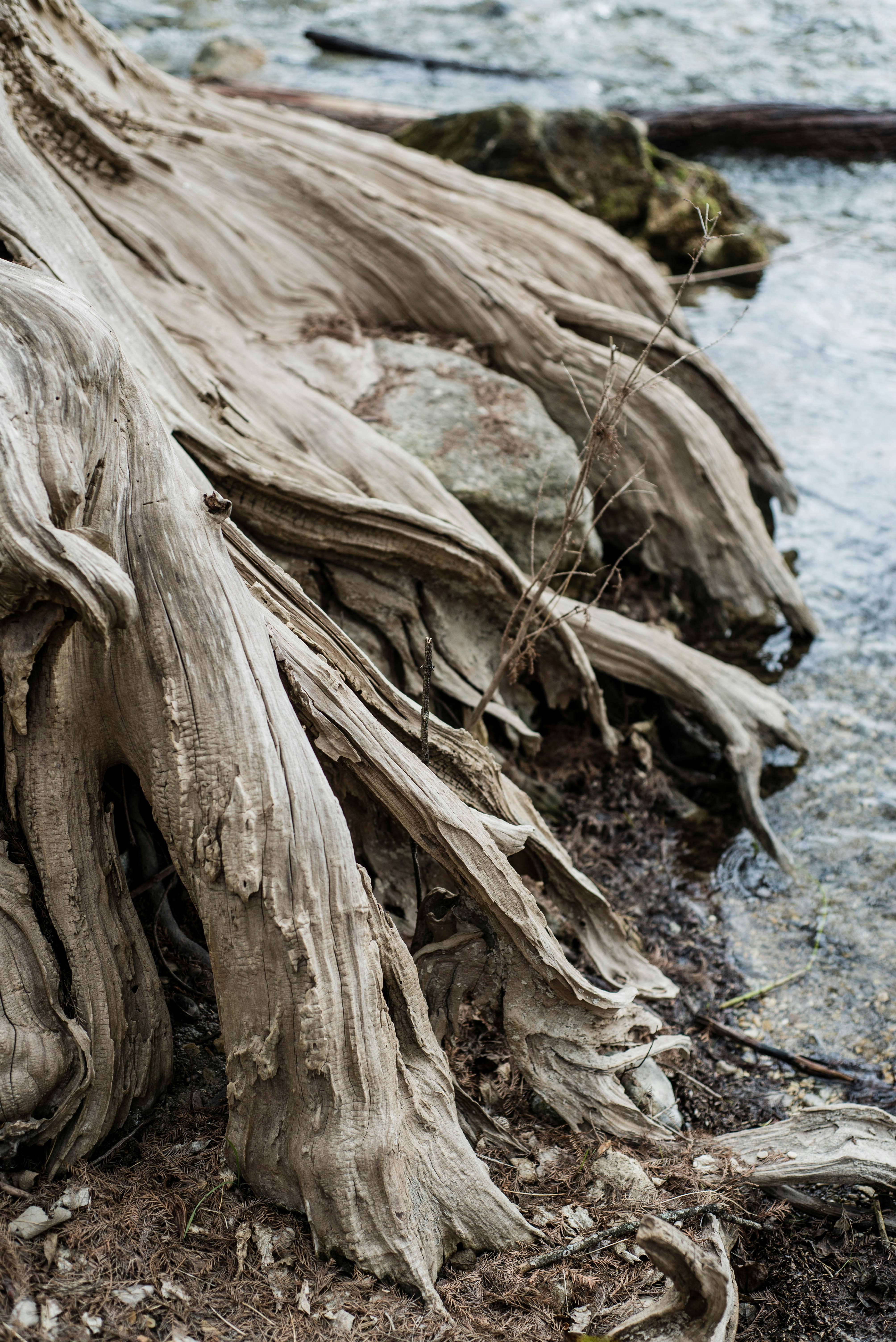 Photo by woahdreamig