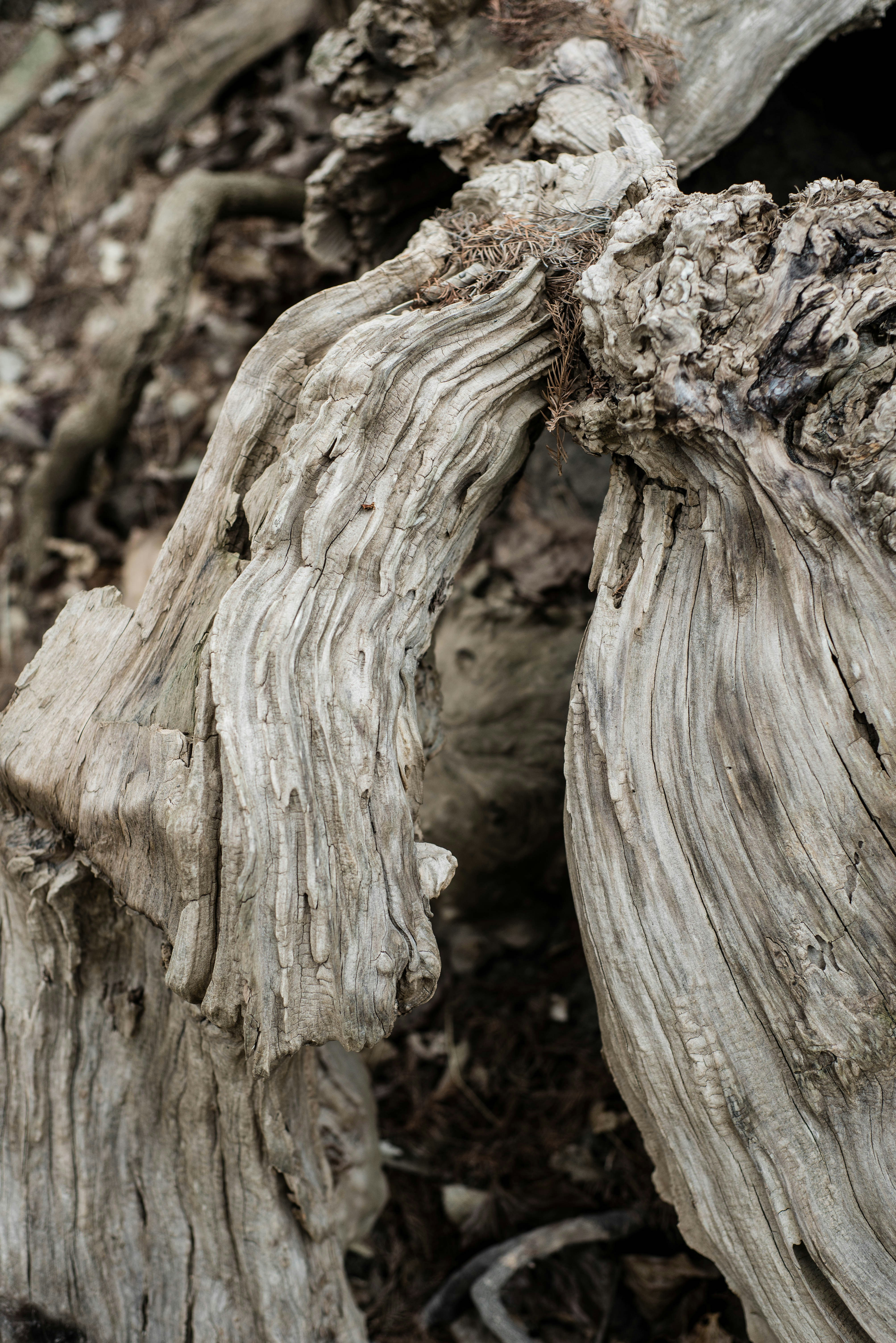 Photo by woahdreamig