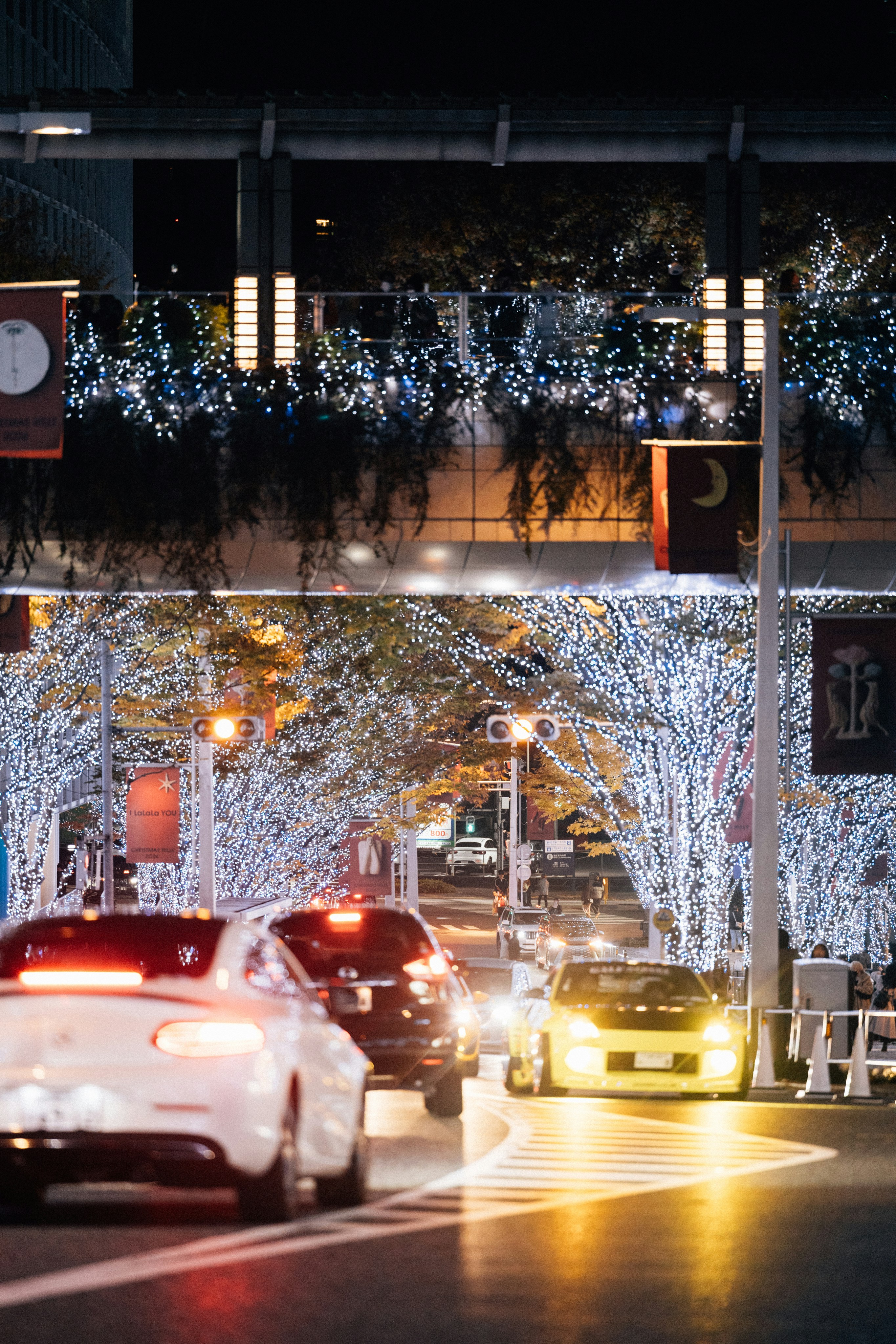 Photo by tsuyoshikozu