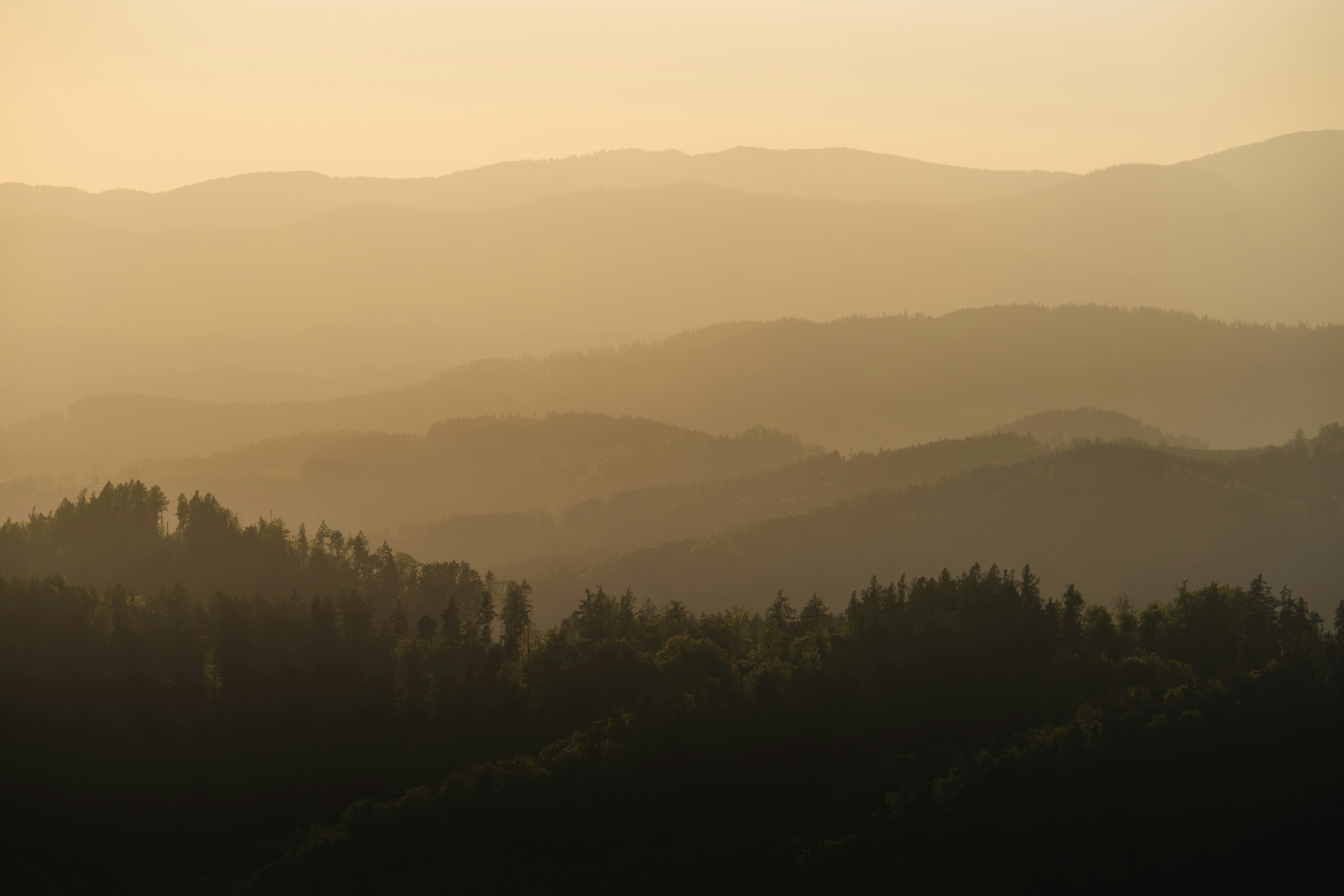 Photo by ahmetyuksek