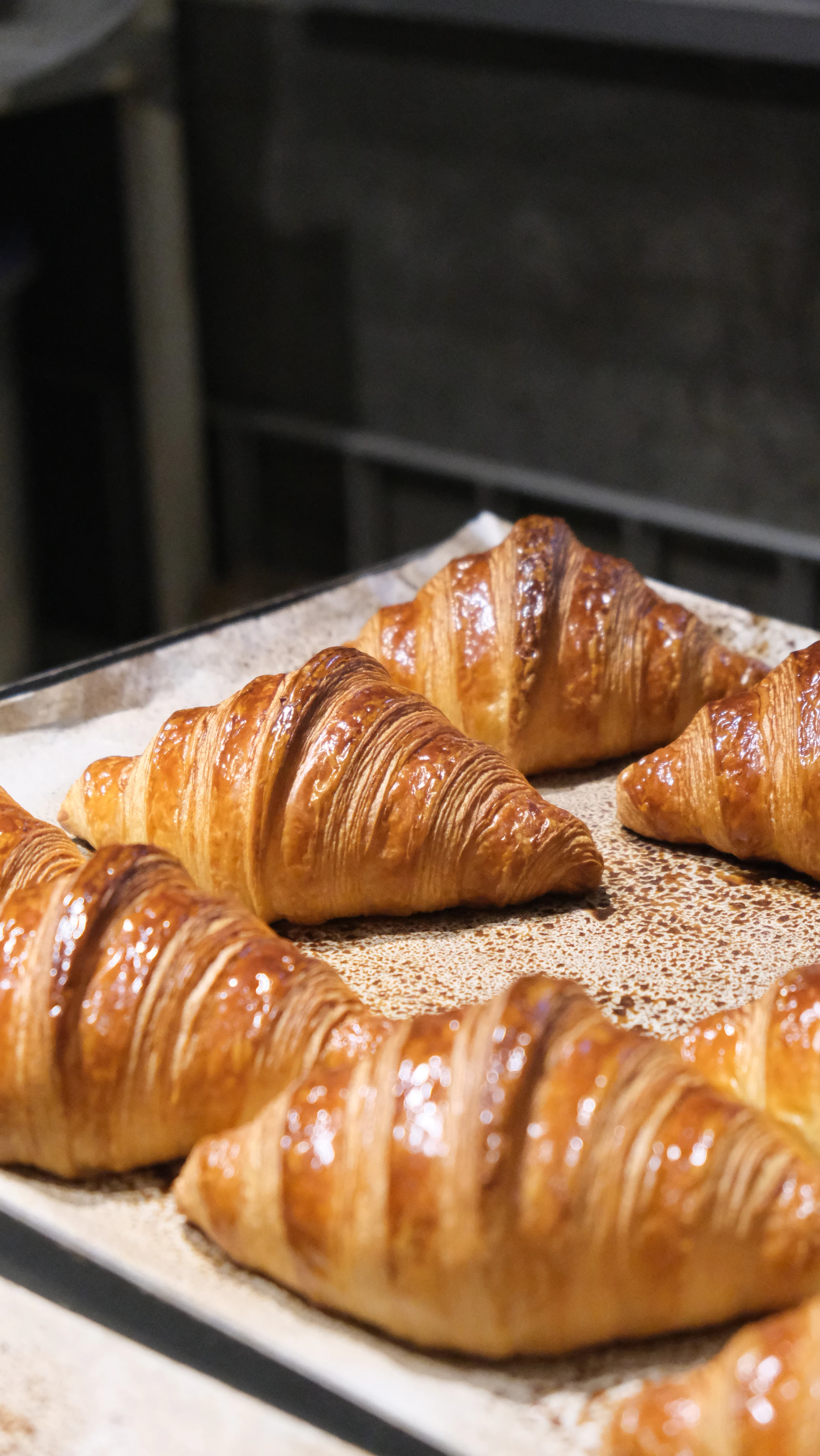 Glossy golden croissants on a parchment-lined baking tray