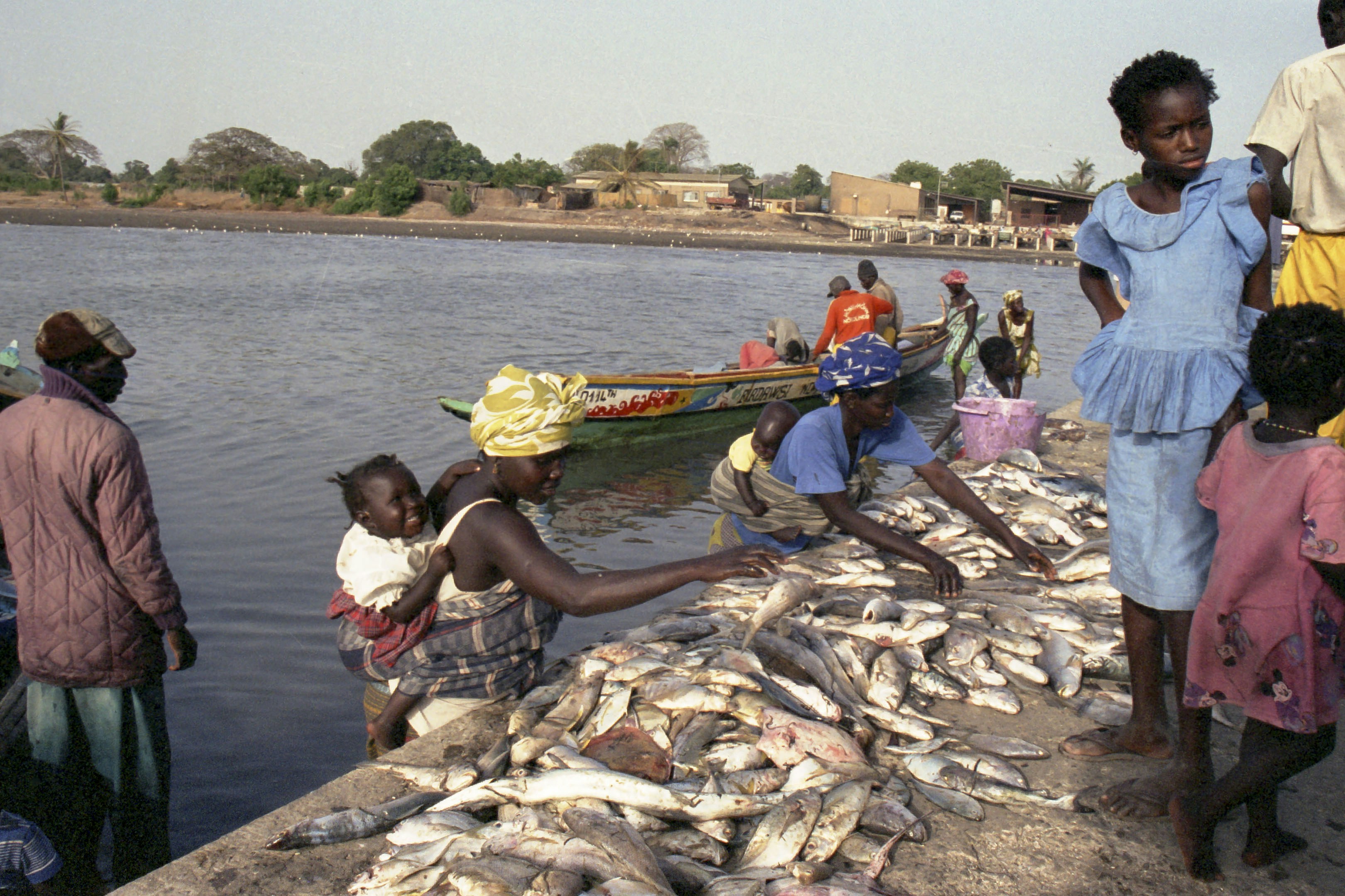 Richard Toll, Senegal - None