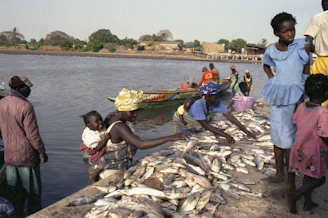People are buying and selling fish by the water.