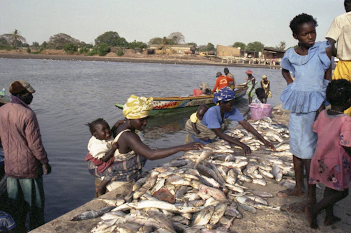 People are buying and selling fish by the water.