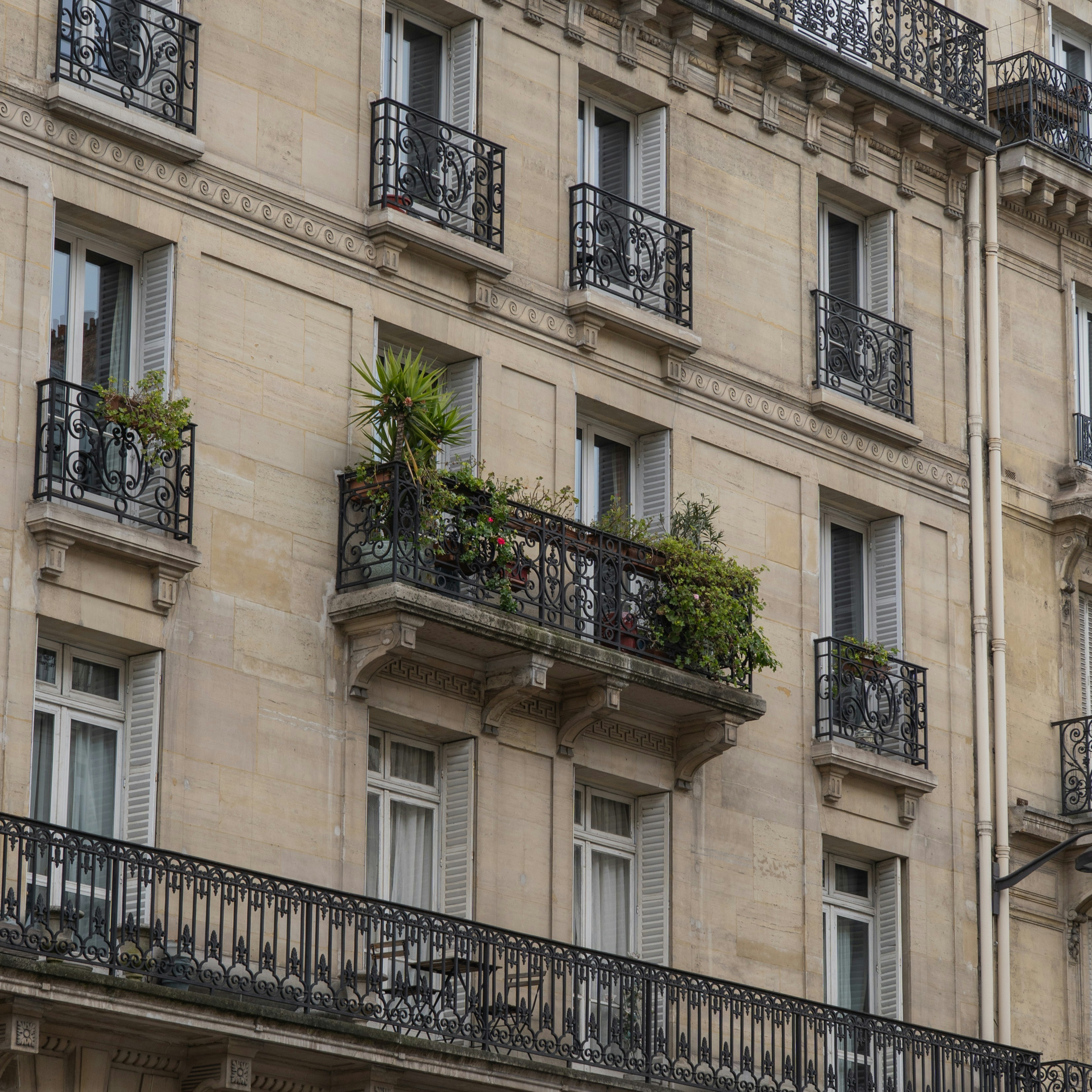 Photo by sinisalekovic