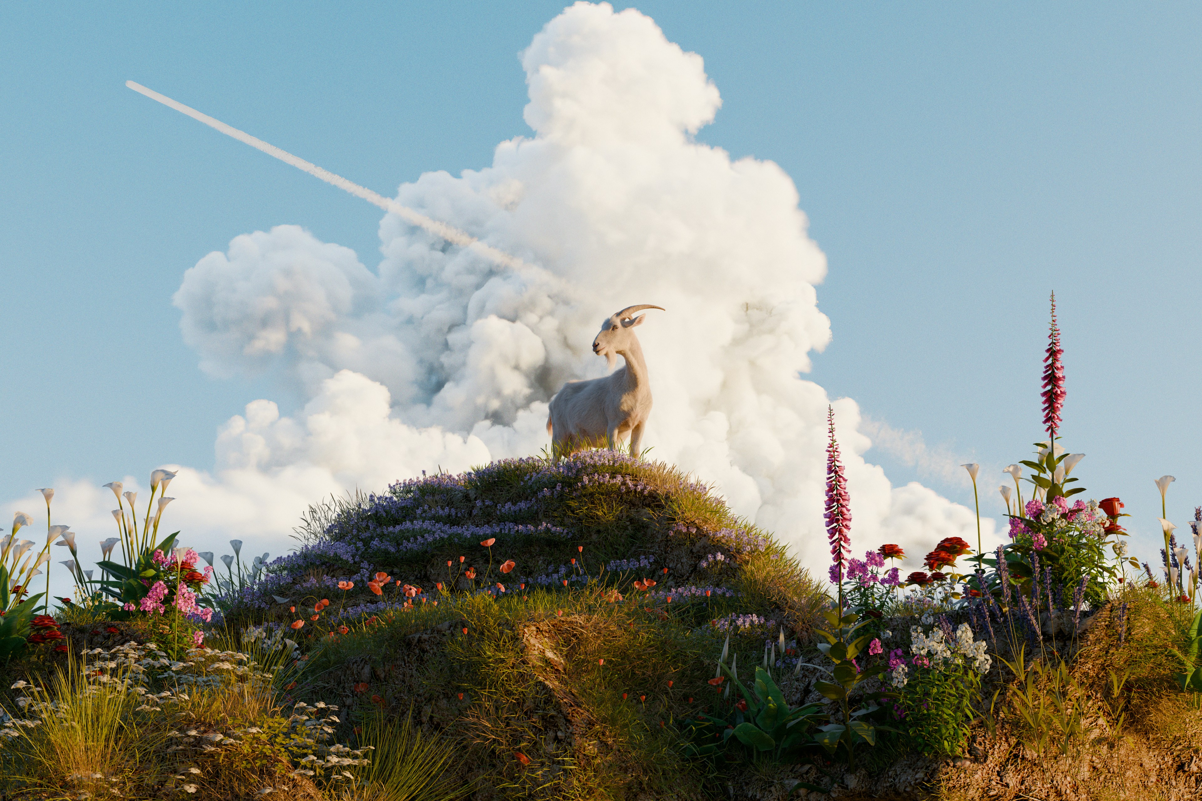 염소 한 마리가 구름 같은 형성 앞에 서 있습니다.