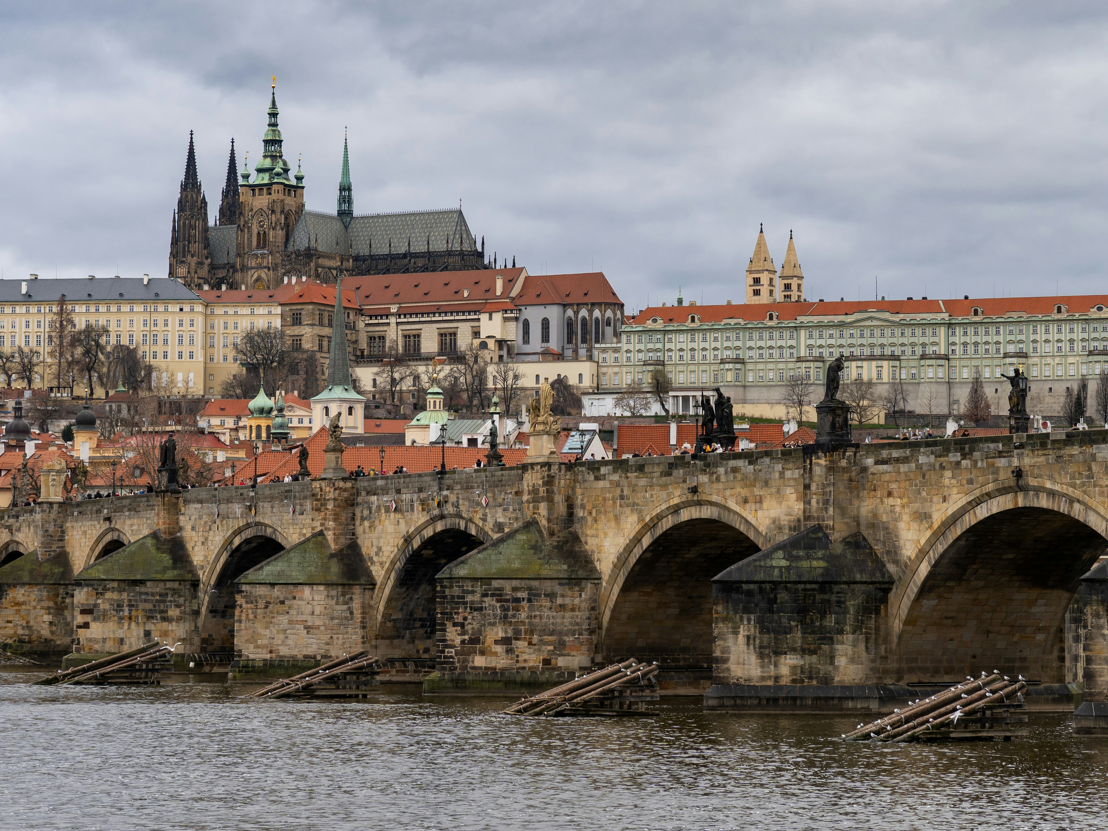 Photo by sinisalekovic