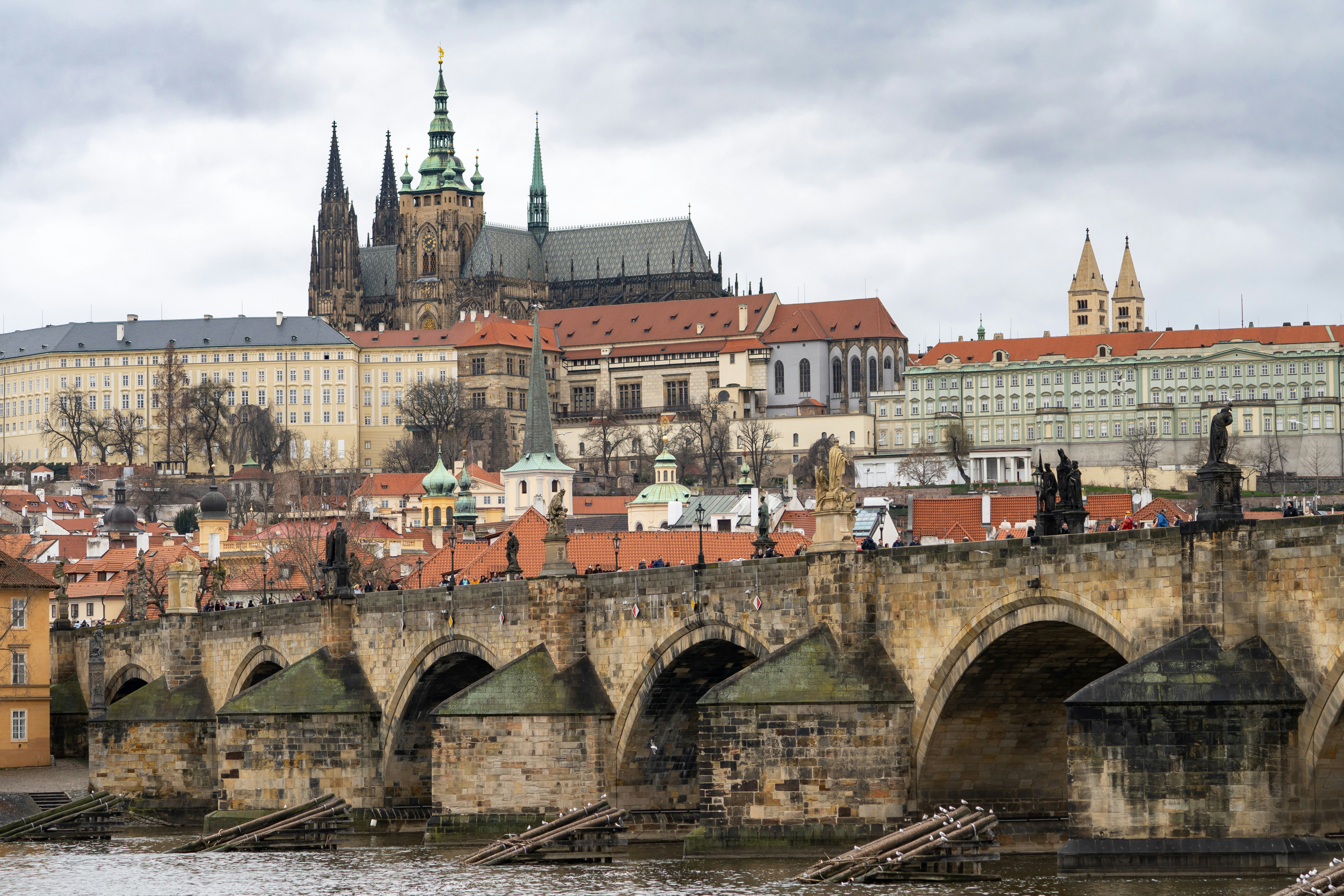 Photo by sinisalekovic