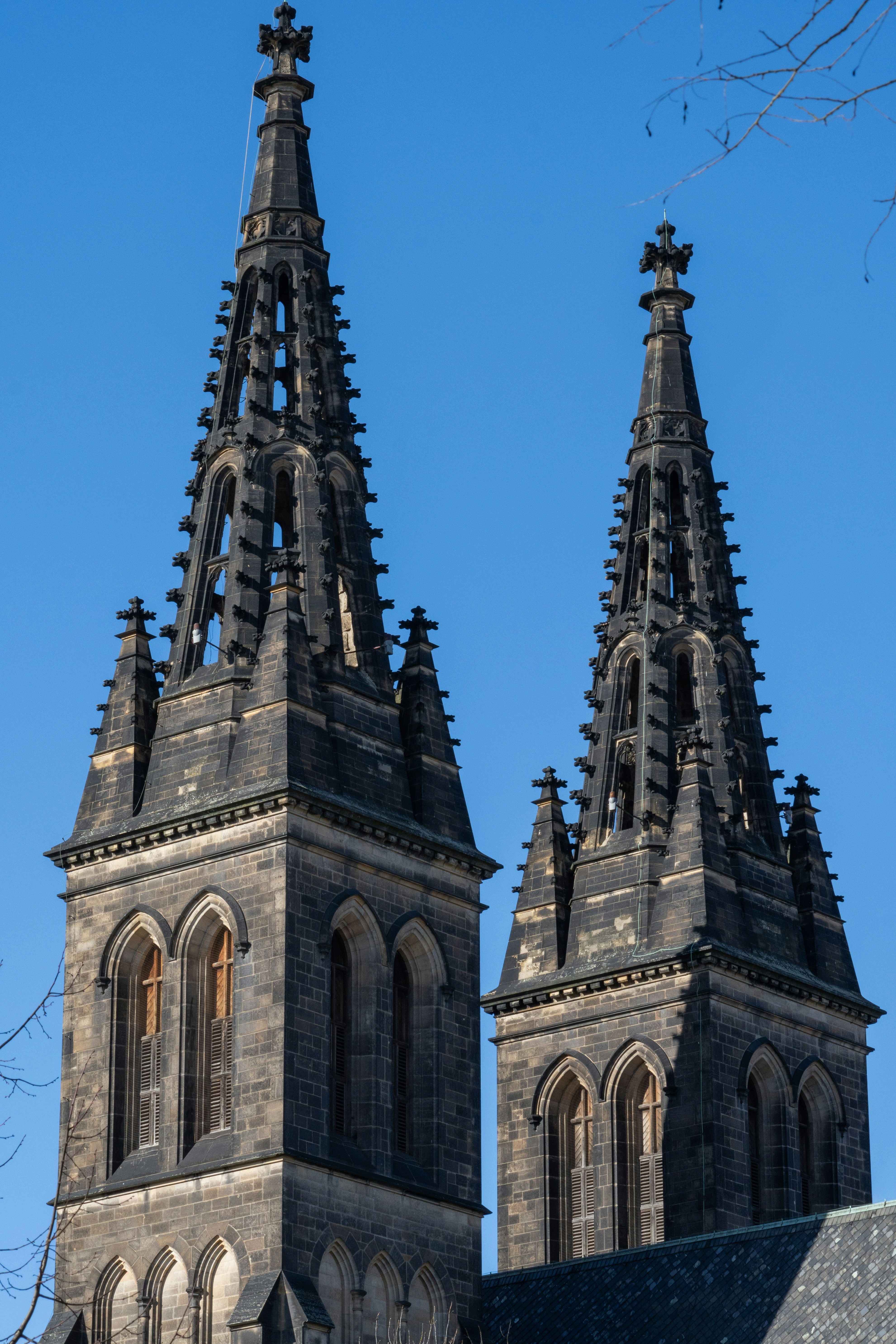 Photo by sinisalekovic