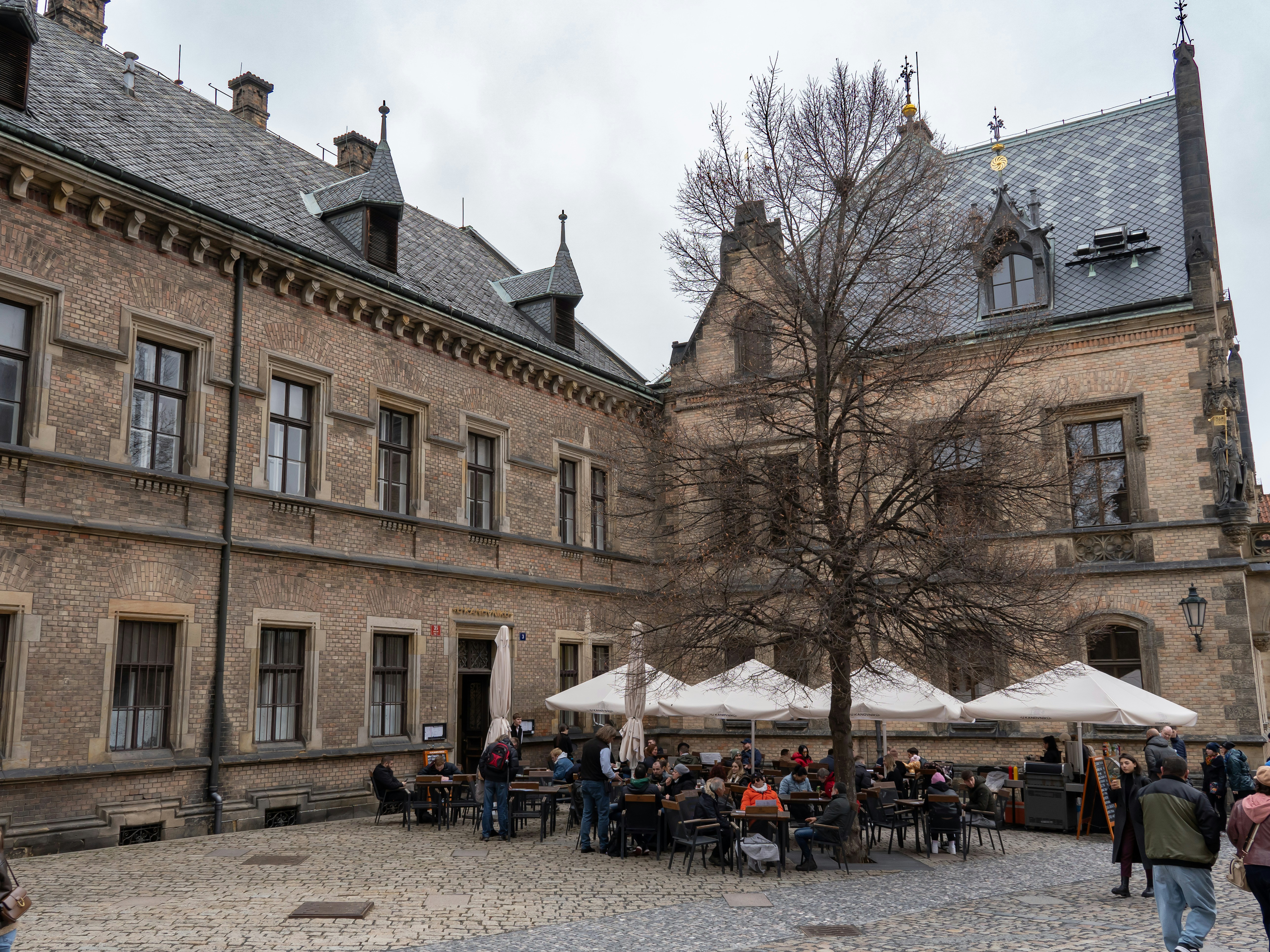 Photo by sinisalekovic