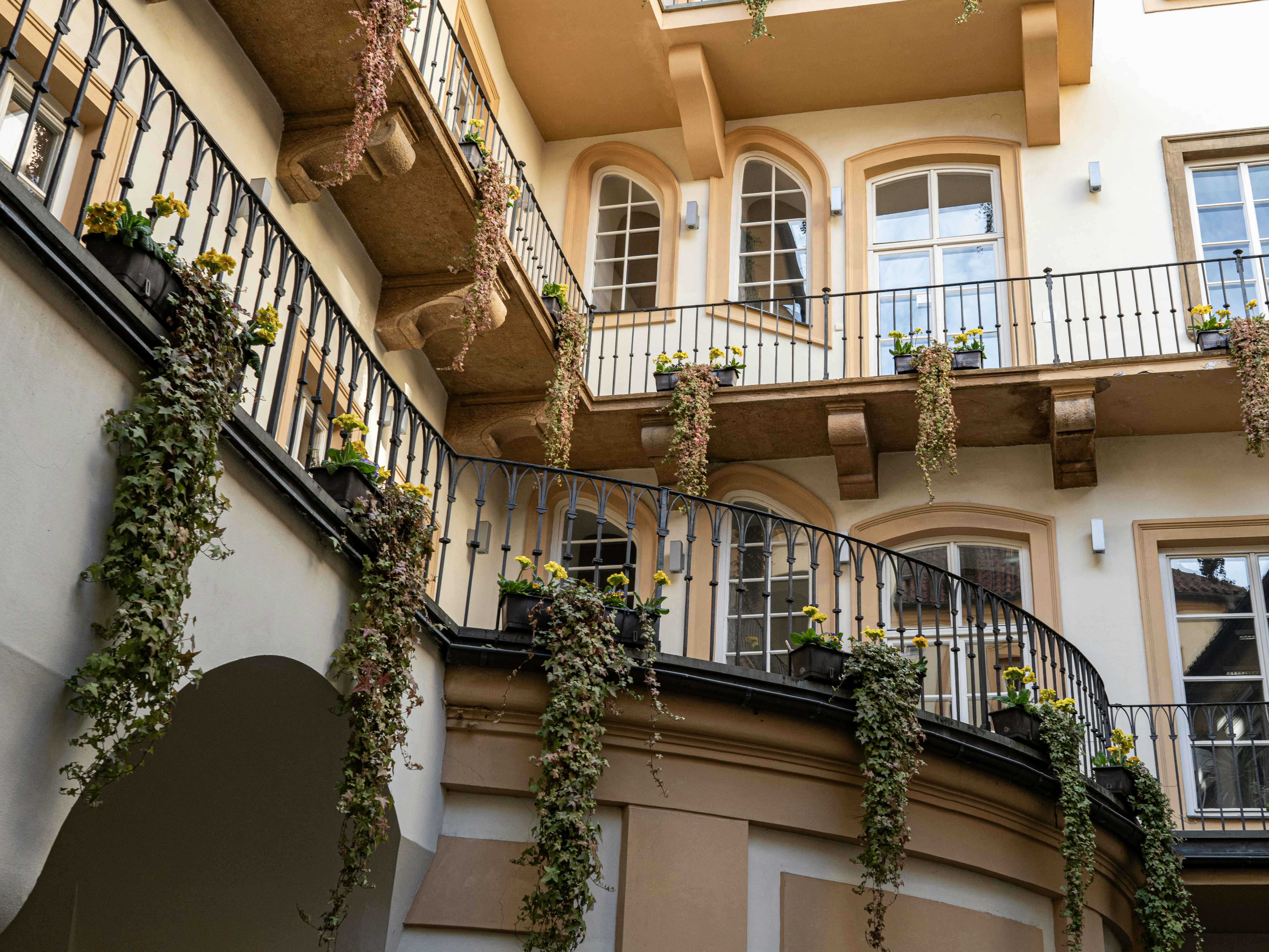 Photo by sinisalekovic