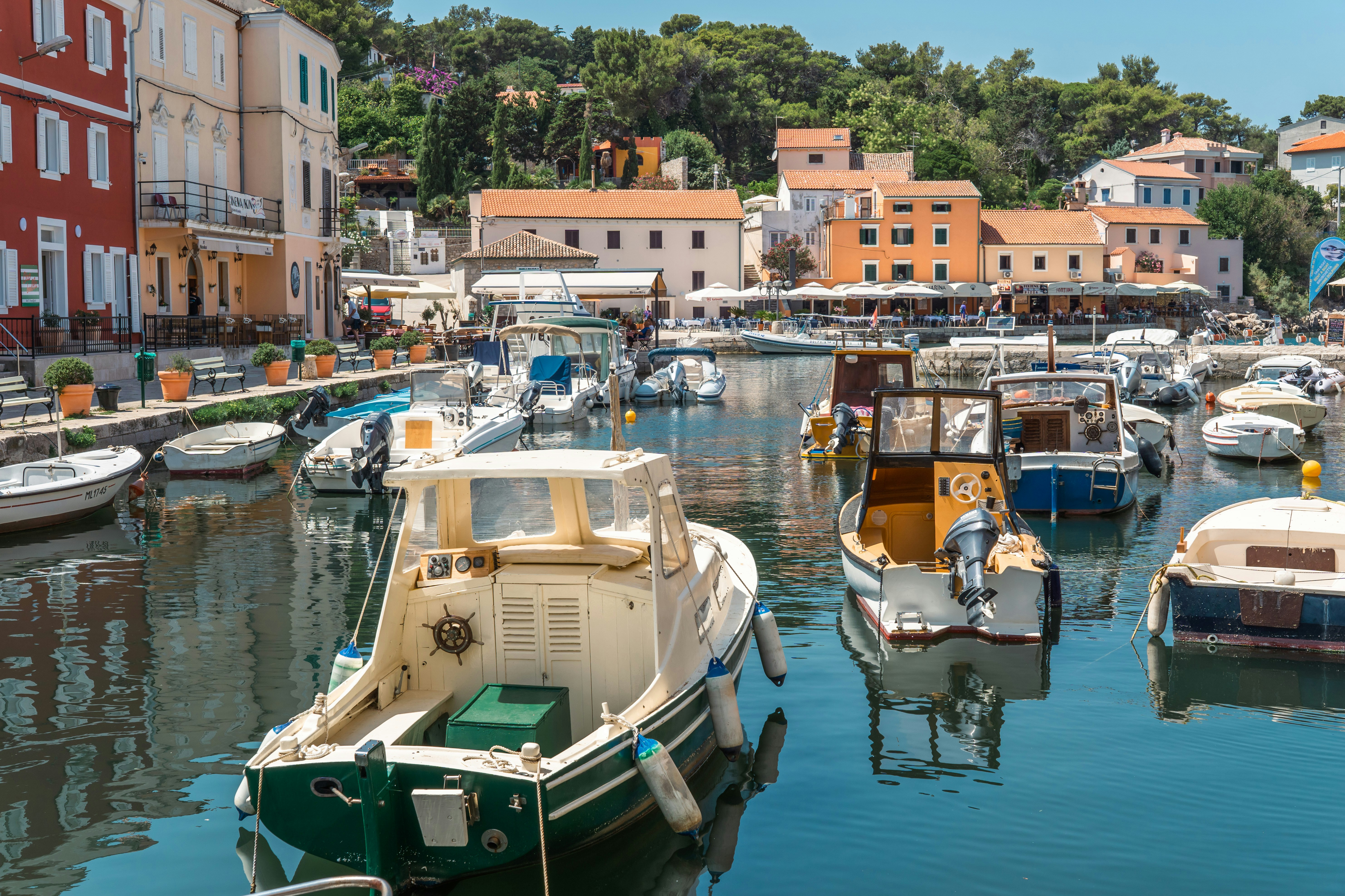 Photo by sinisalekovic