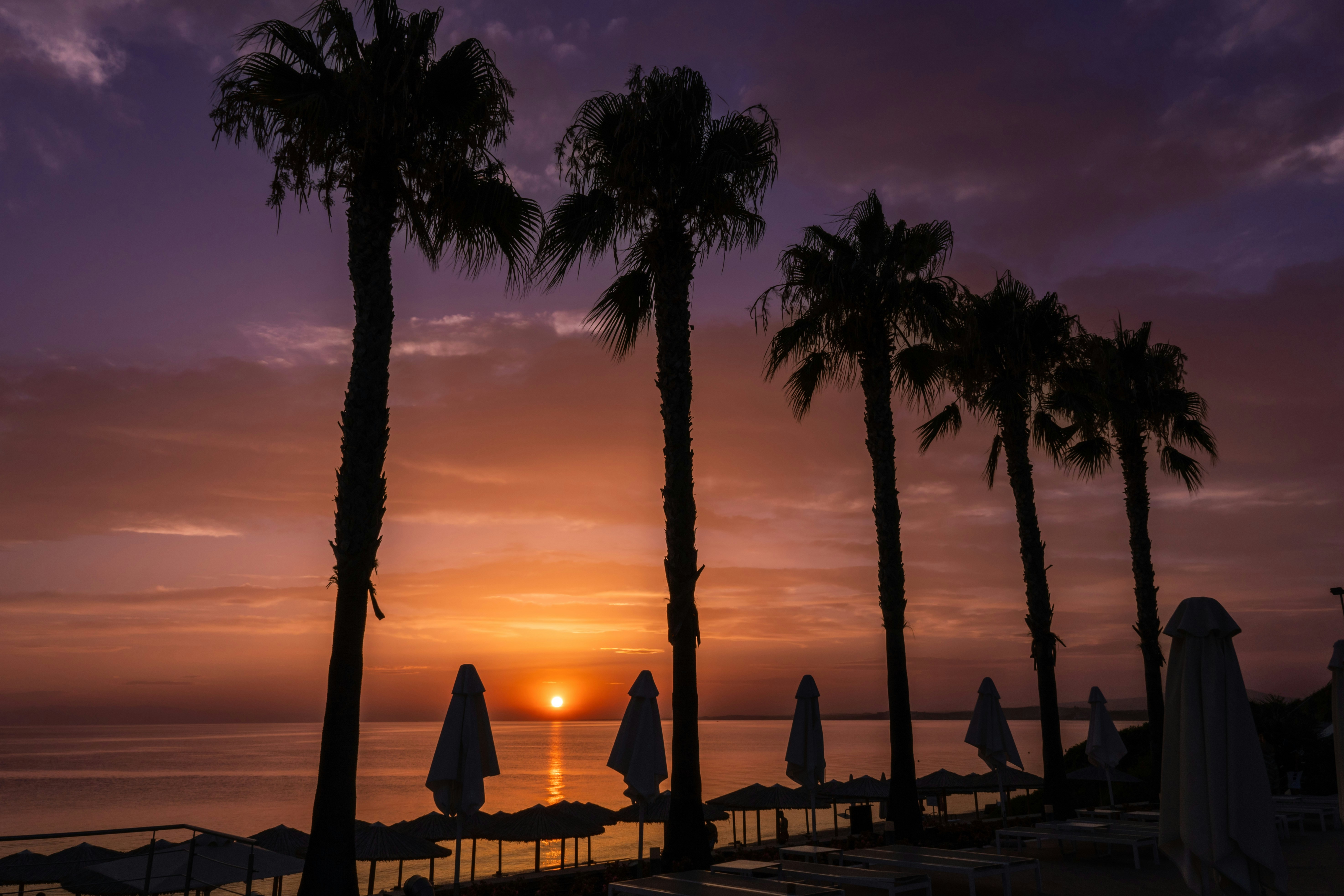 Photo by sinisalekovic