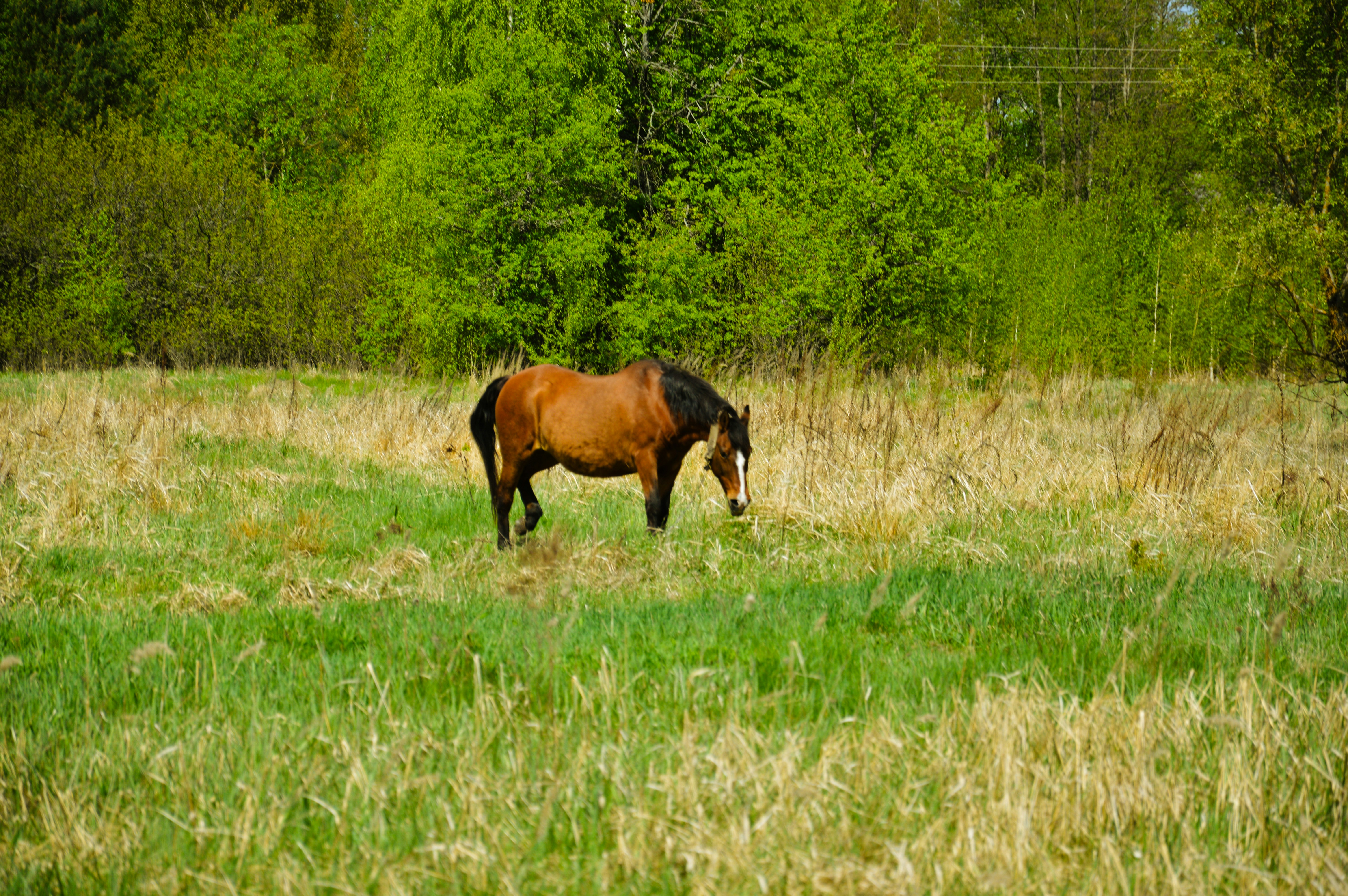 Photo by beauty_is_everywhere