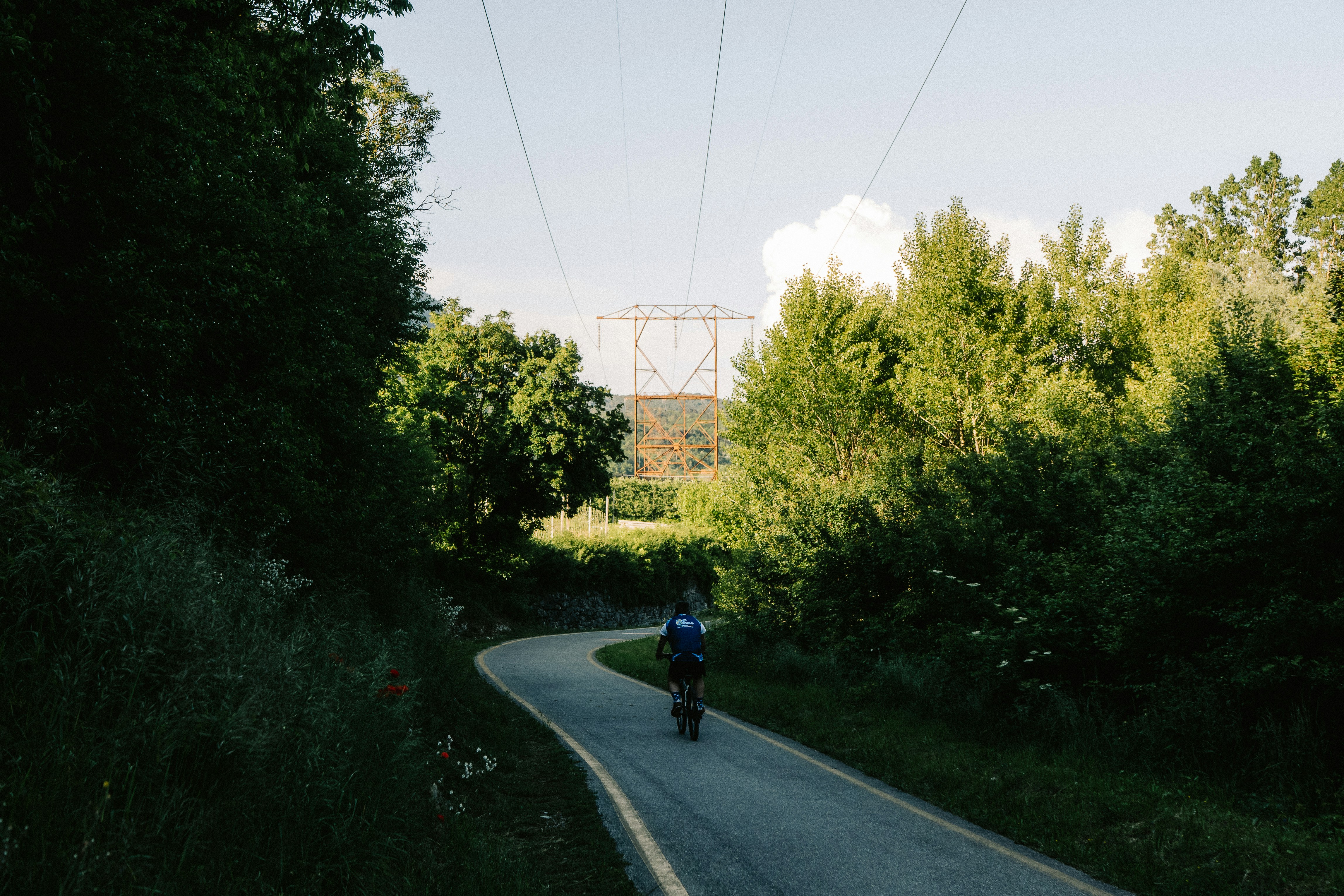 Cyclist rides down a path lined with greenery.
