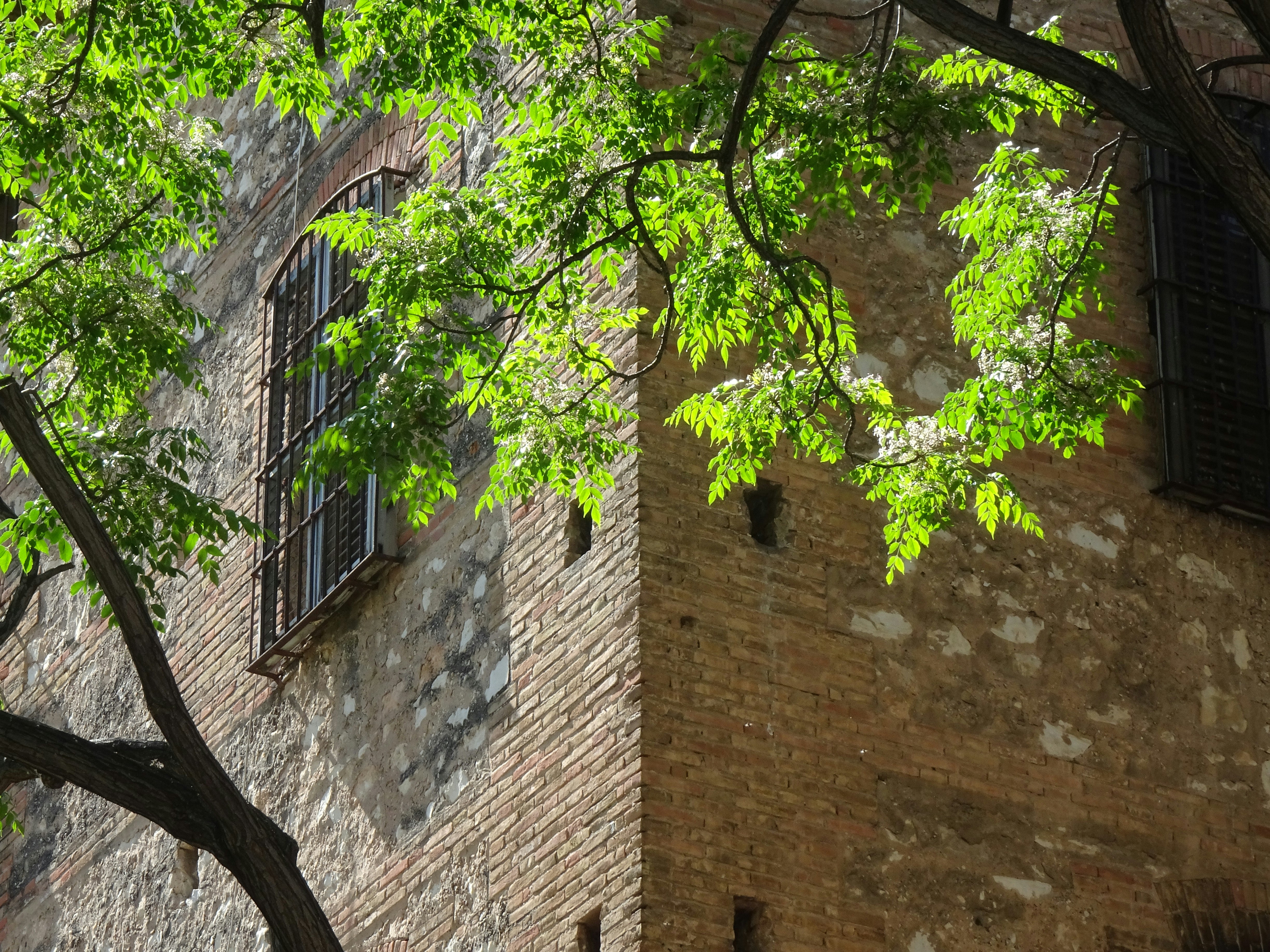 Photo by ludovico_06