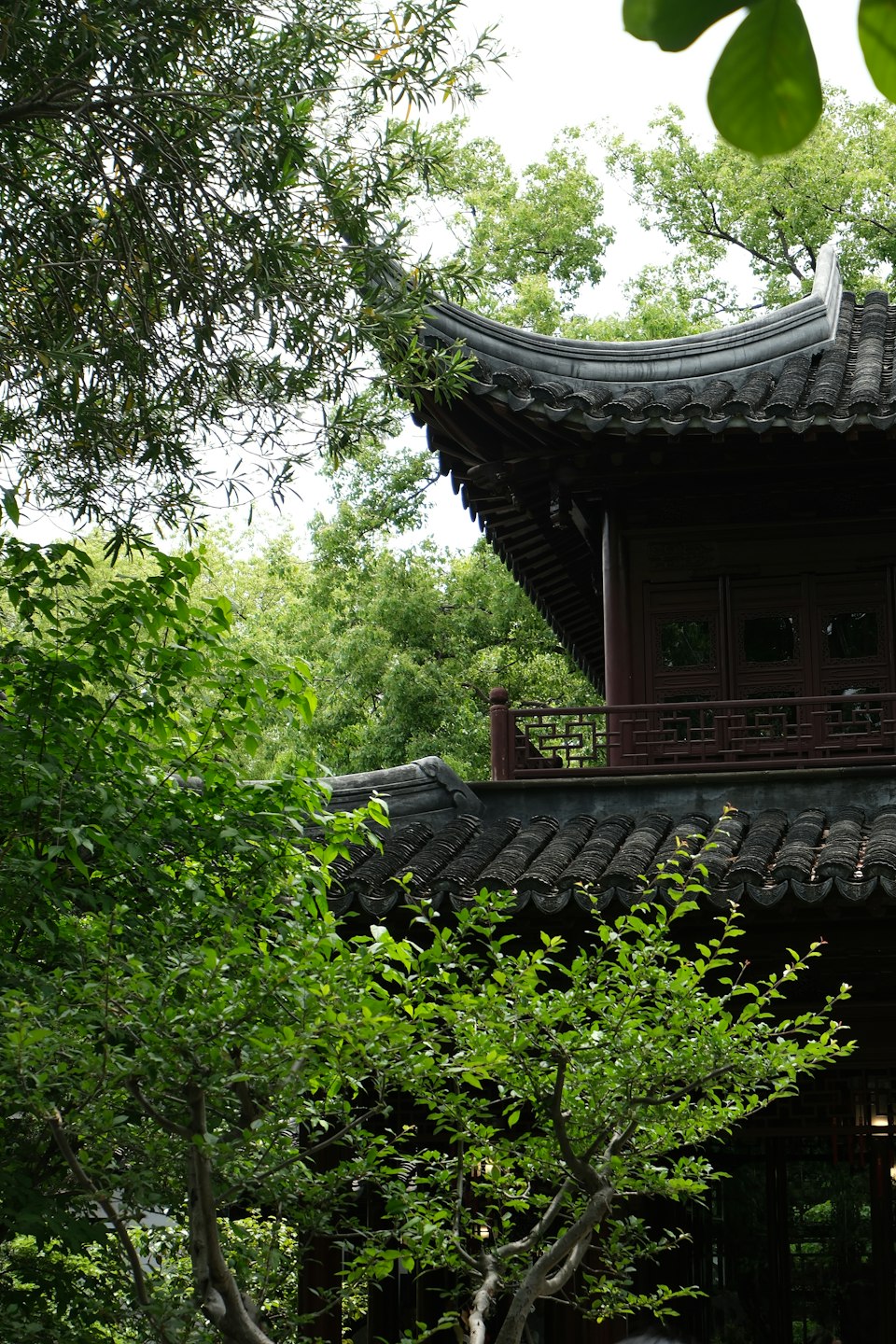 Traditional Ming-dynasty pavilion architecture partially obscured by greenery at Yuyuan Garden, Shanghai