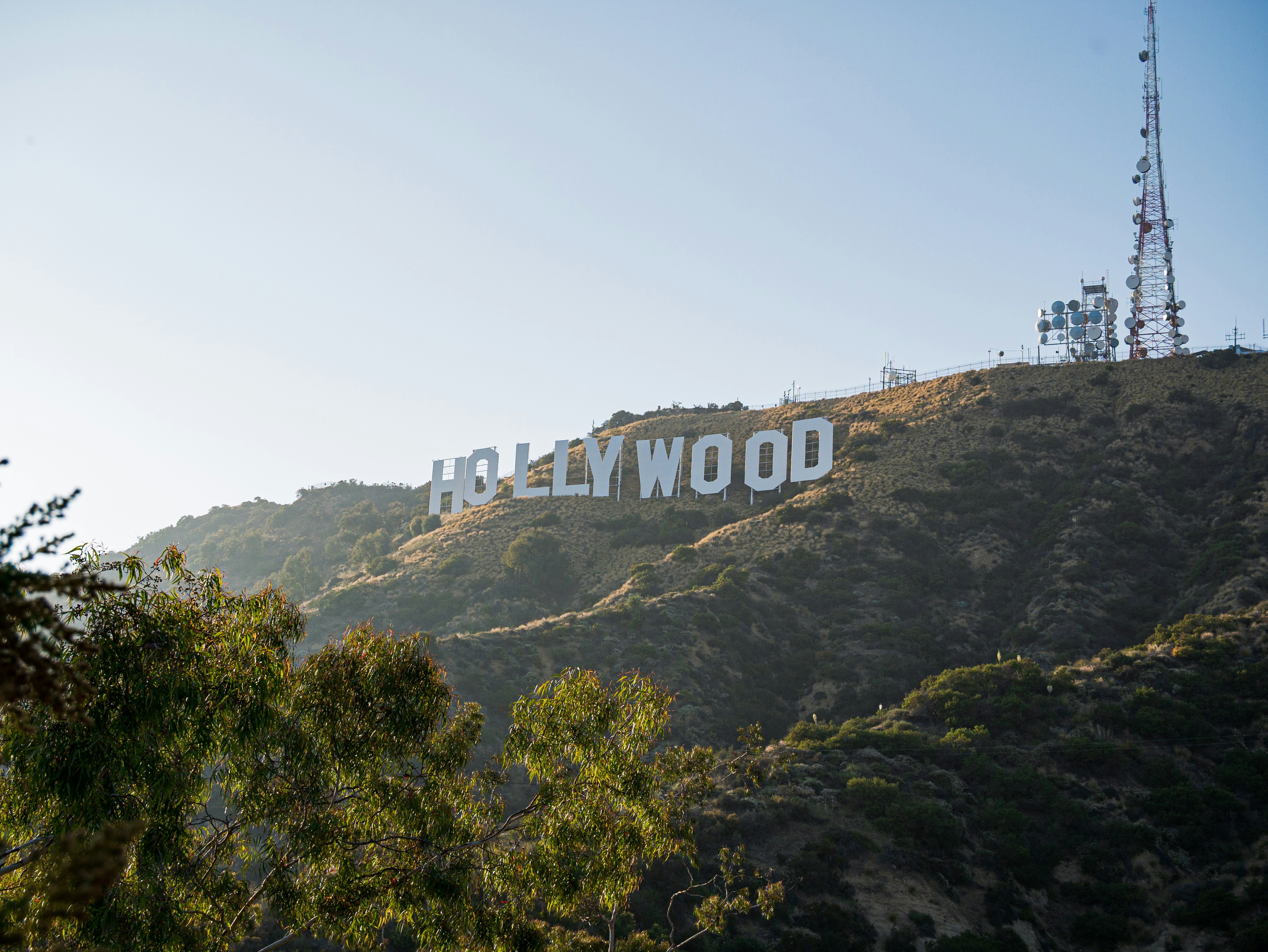 The Hollywood sign