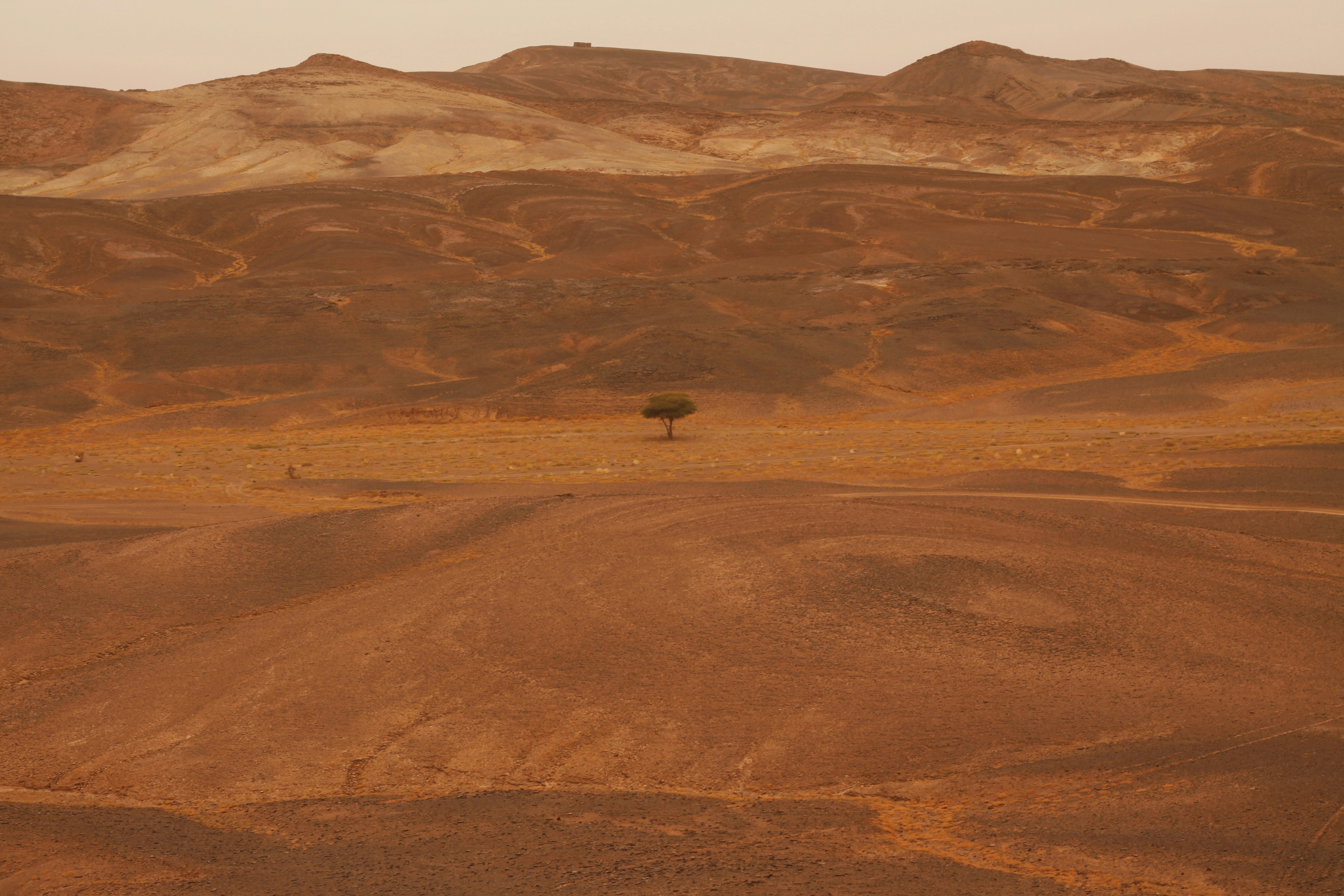 Identity Without Earth's Mirror (image credits: unsplash)