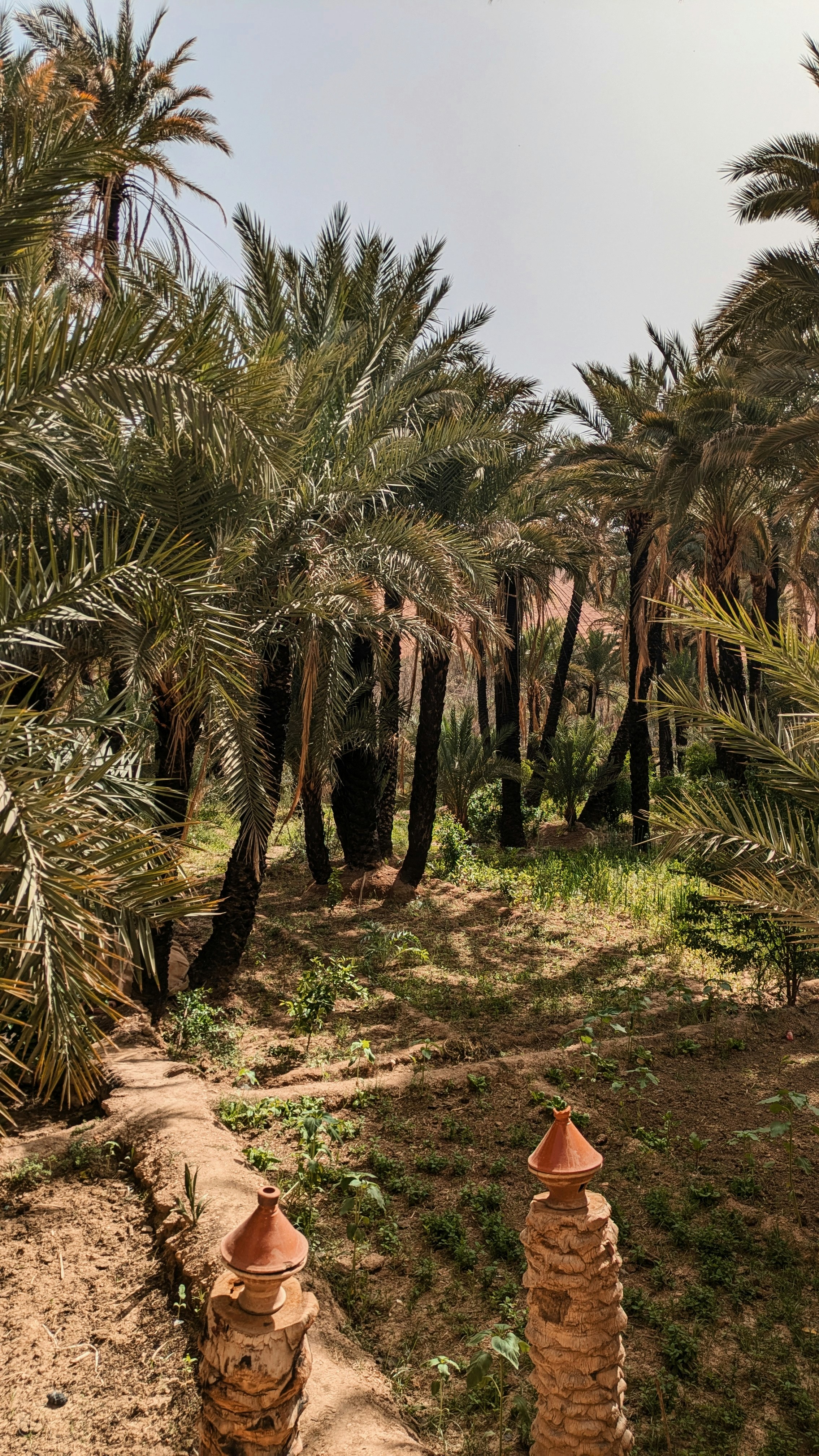 Photo by ispywithmylittleeye