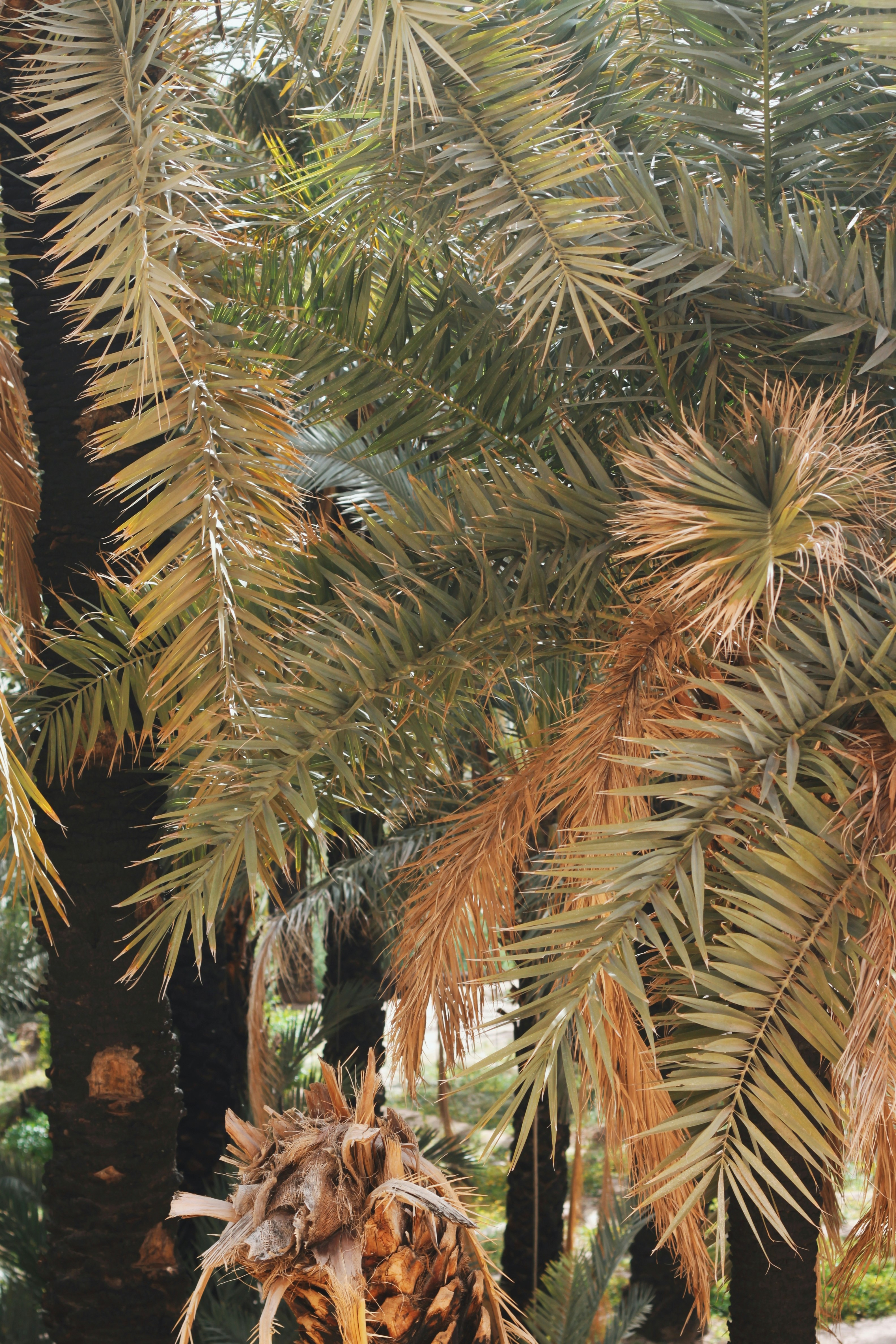 Photo by ispywithmylittleeye