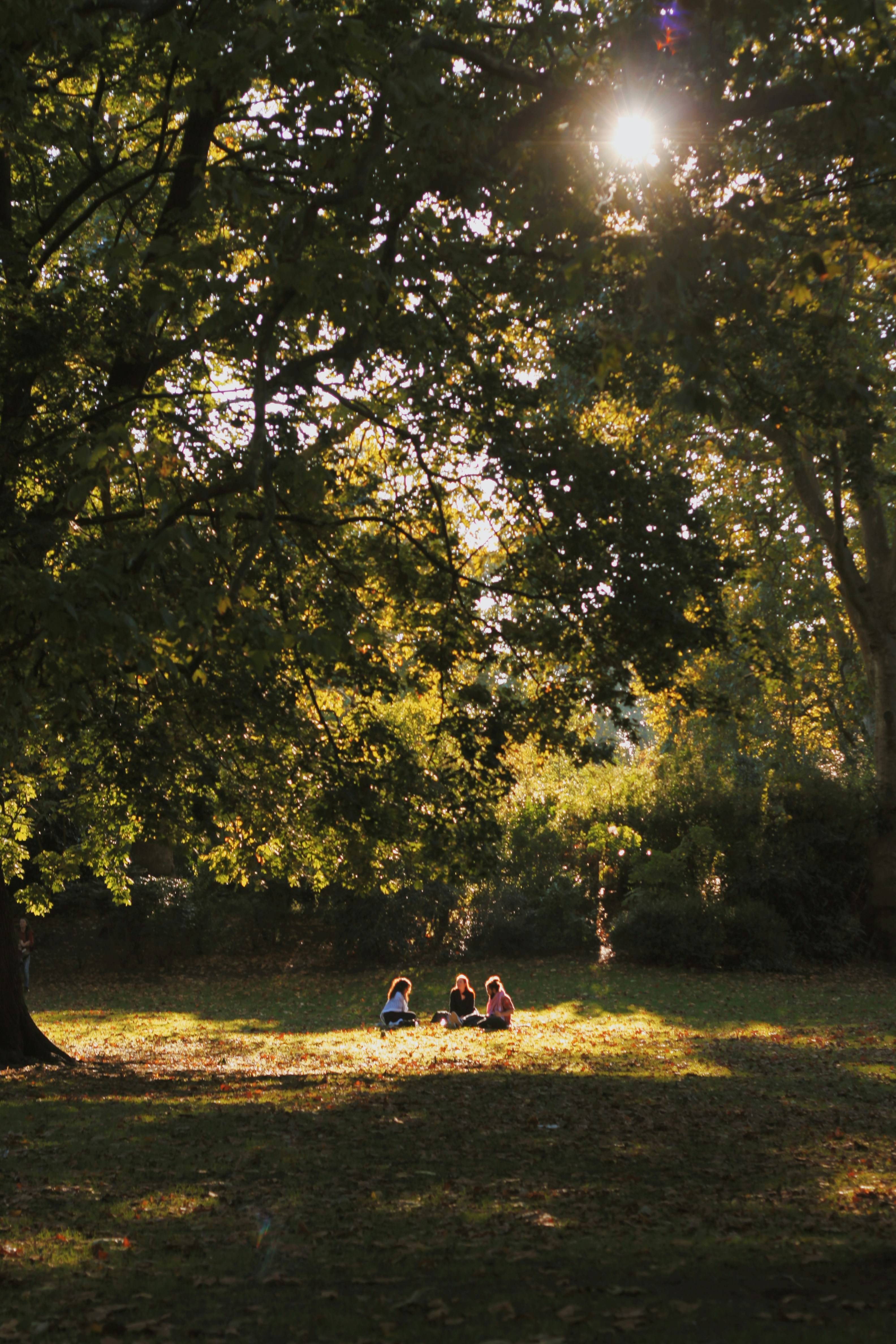 Photo by ispywithmylittleeye