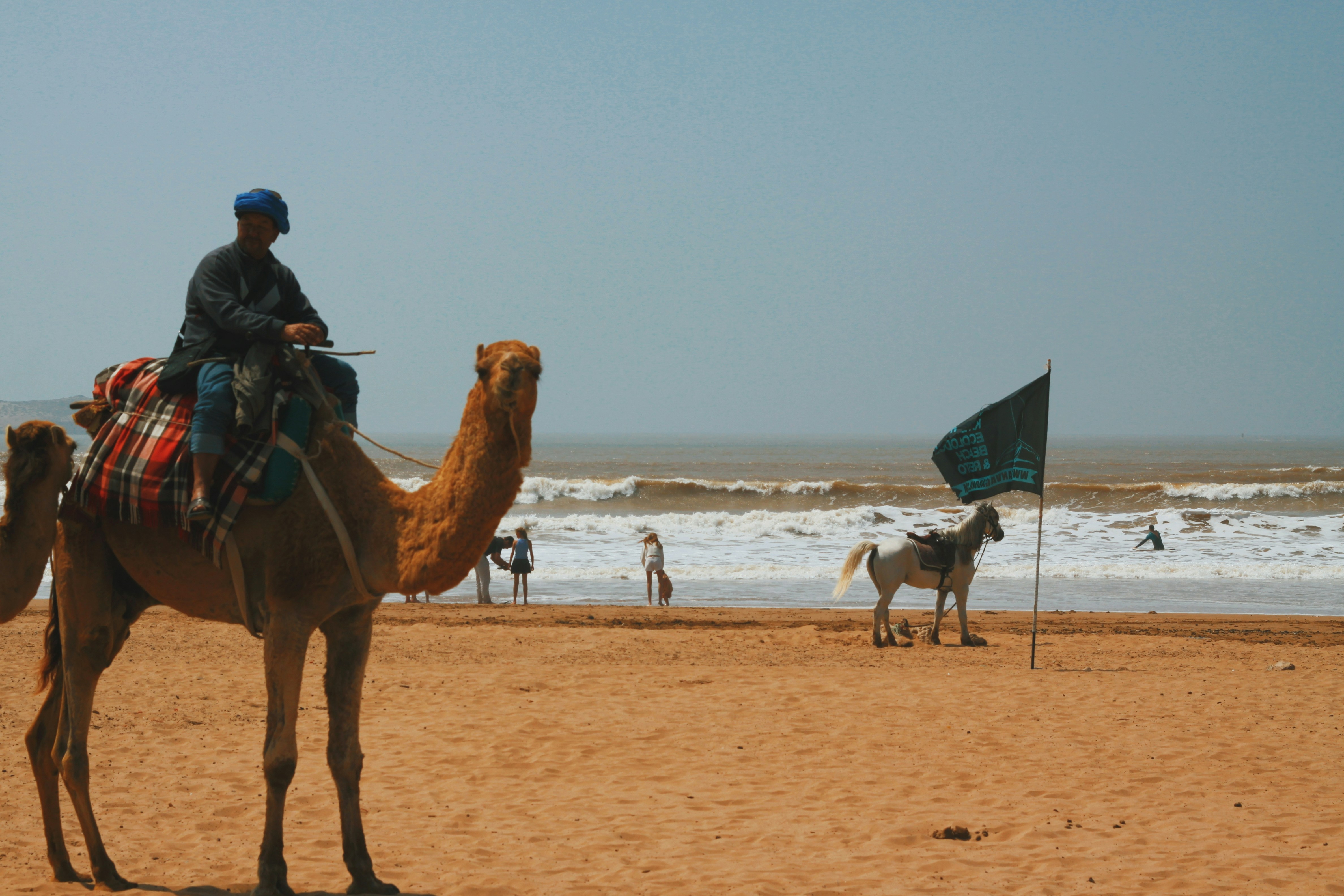 Man rides a camel on a sunny beach.