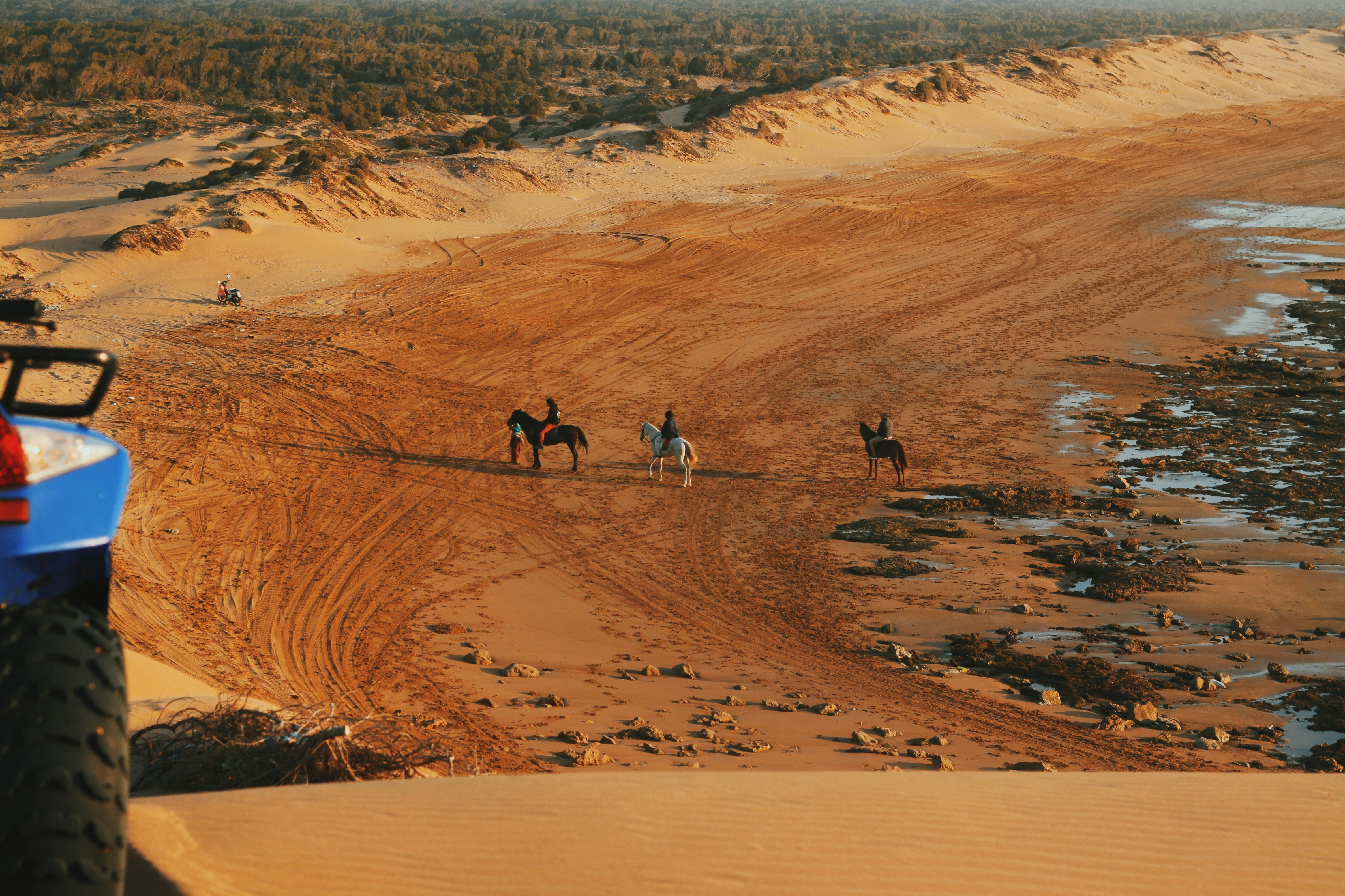 Sahara Fossil Markets