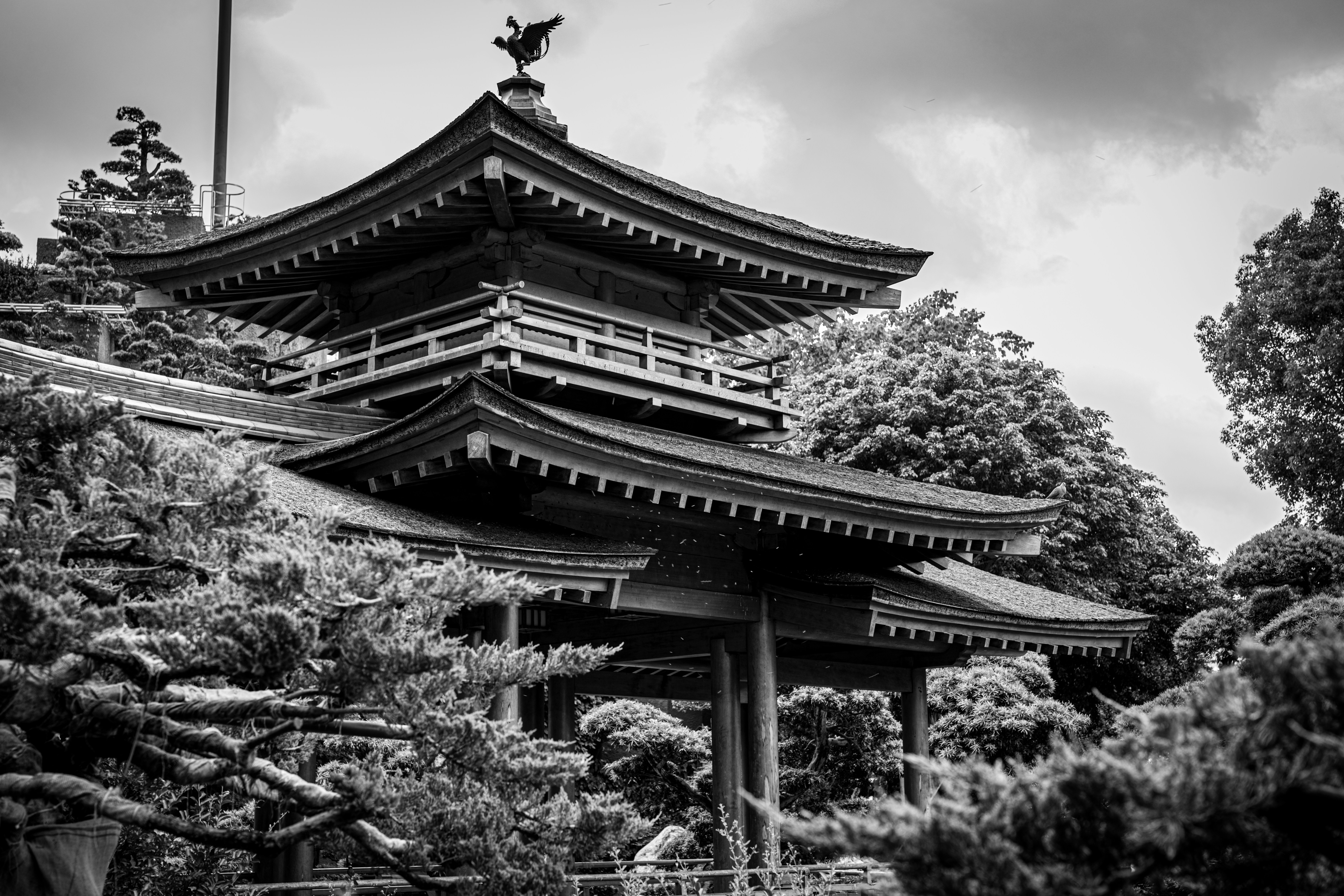 Photo by samtakespictures