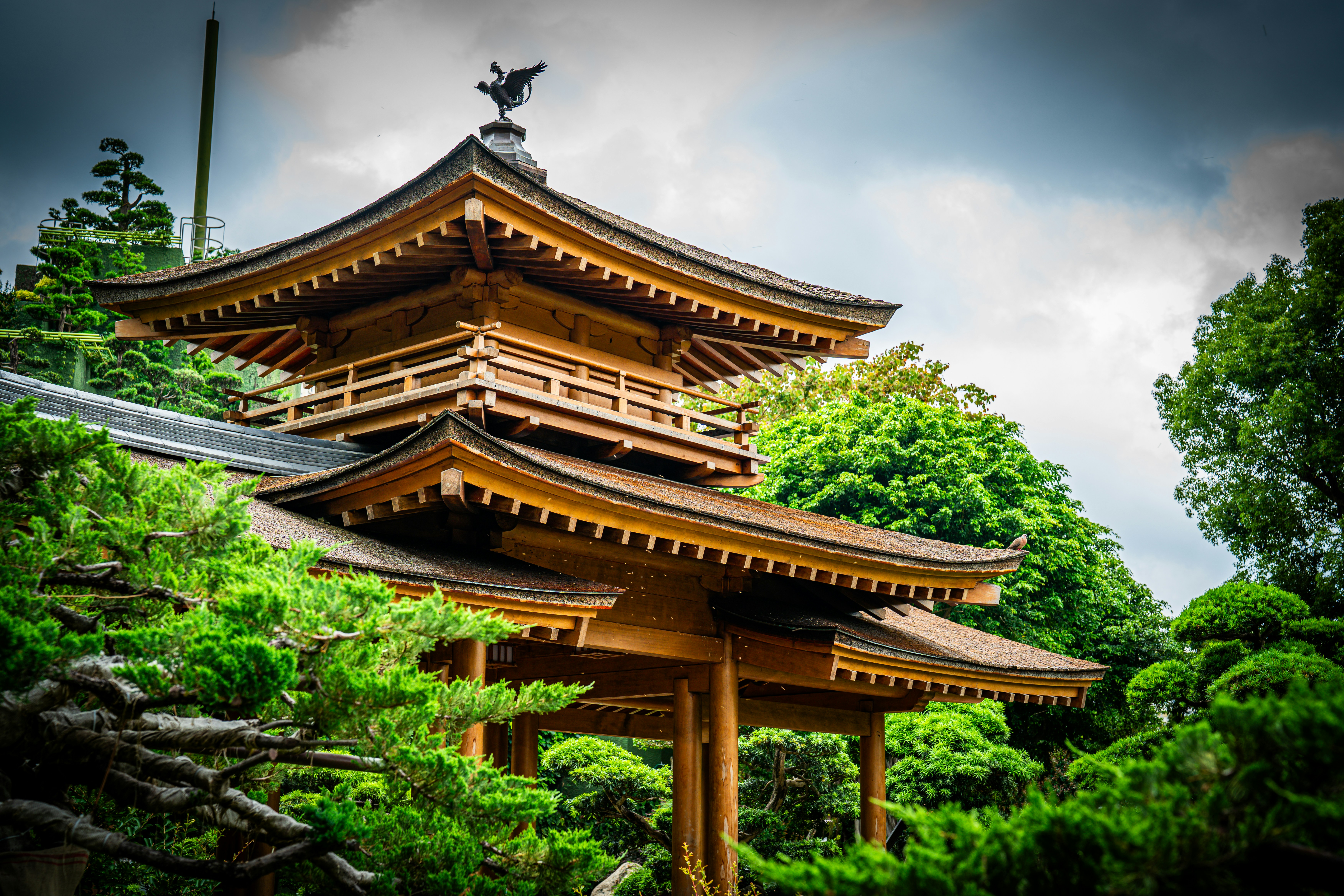 Photo by samtakespictures