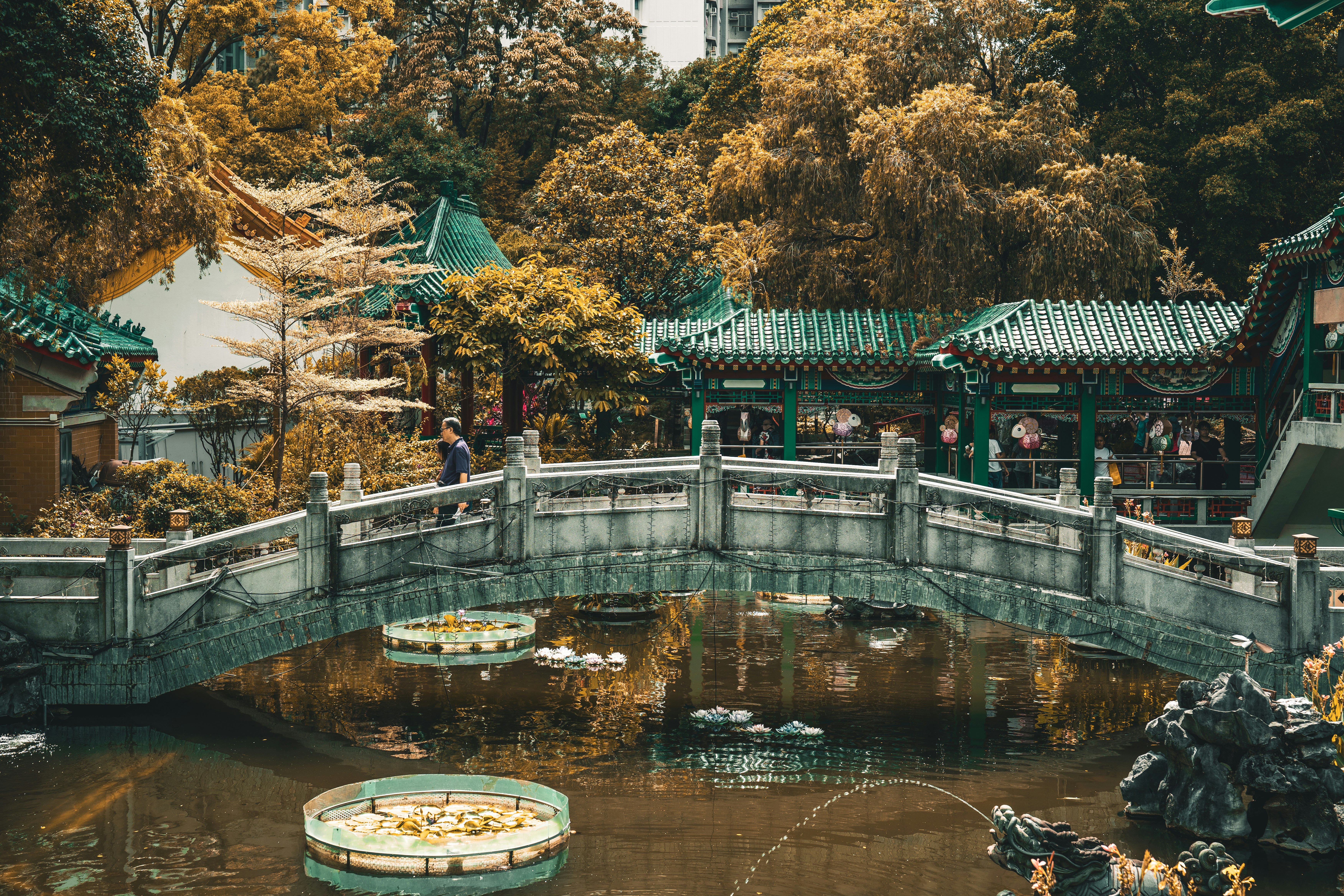 Photo by samtakespictures