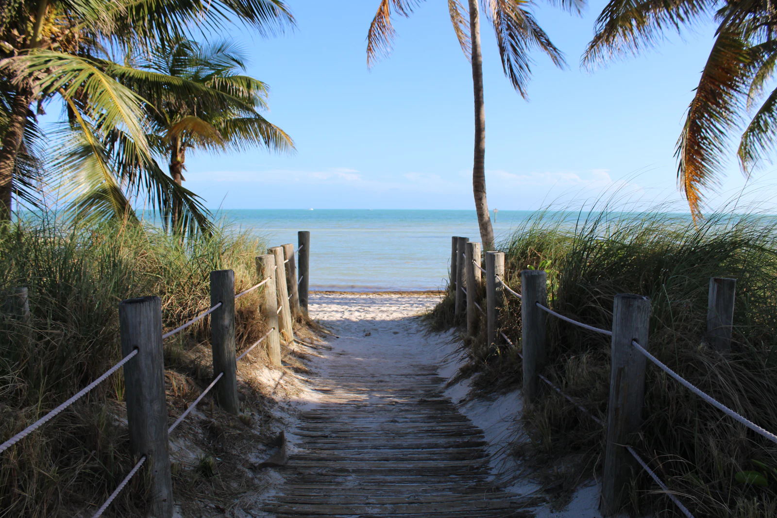 A sandy path leading to the beach