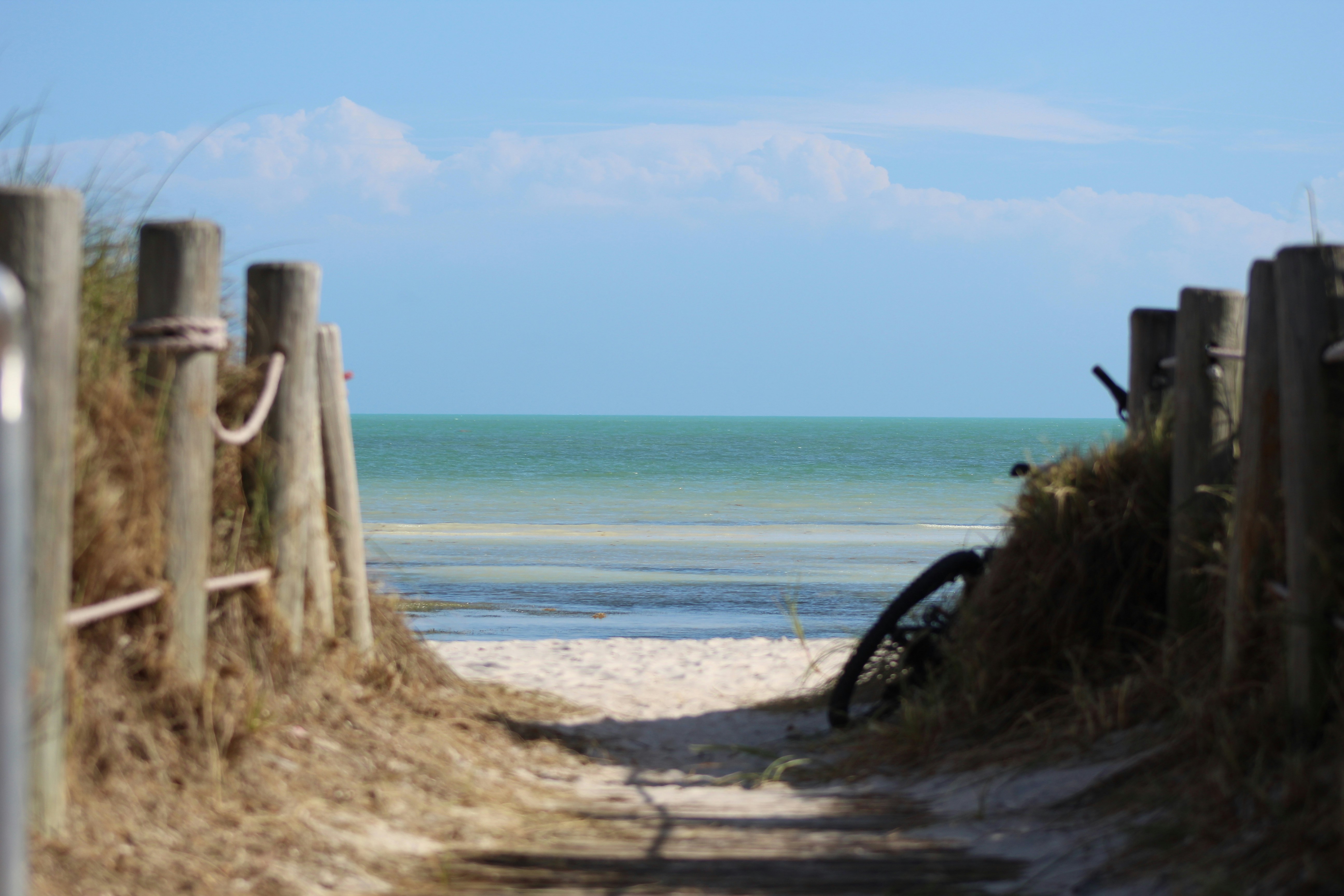 Pathway leads to the beach with a bike.