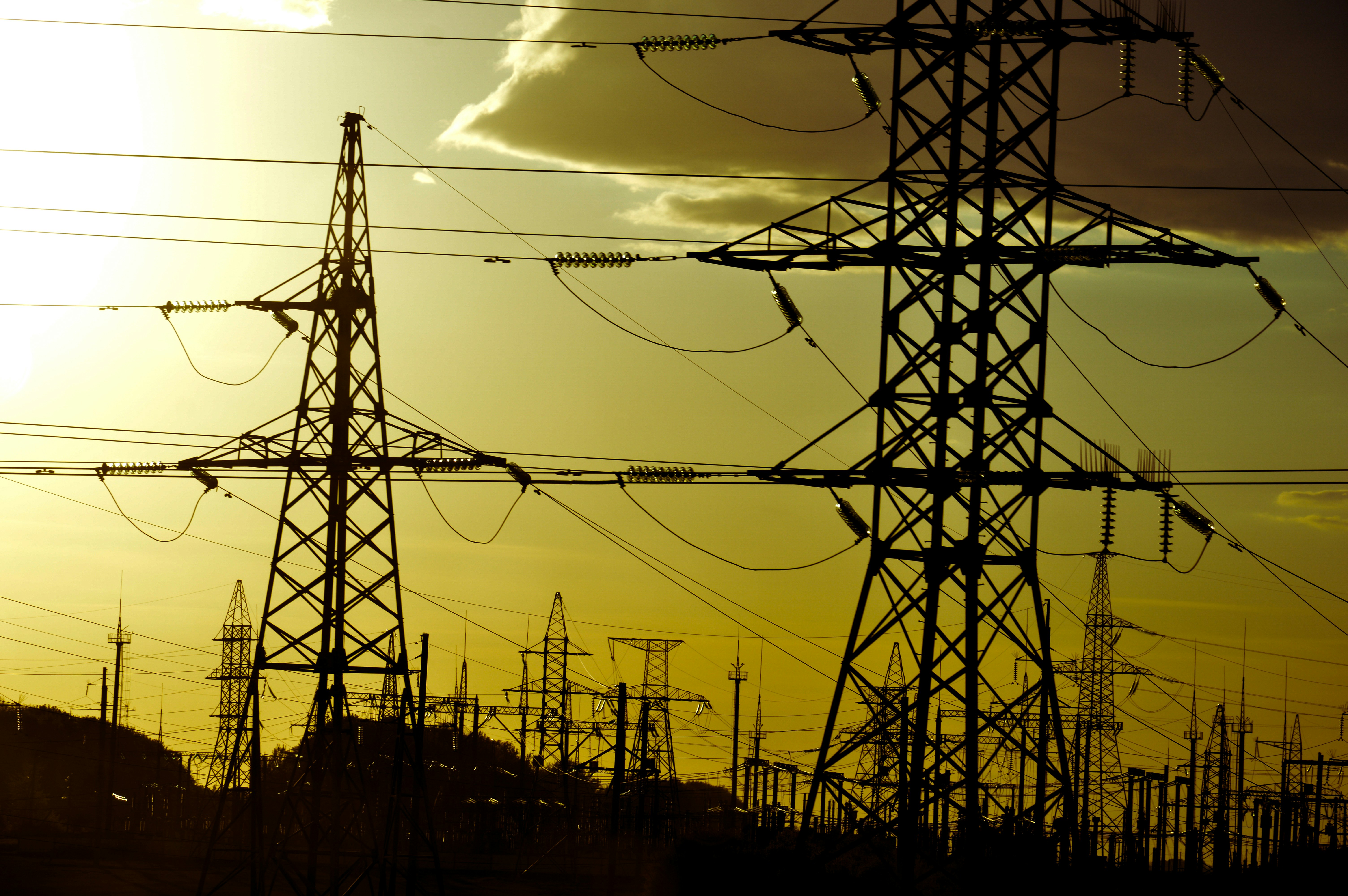 Photo by beauty_is_everywhere