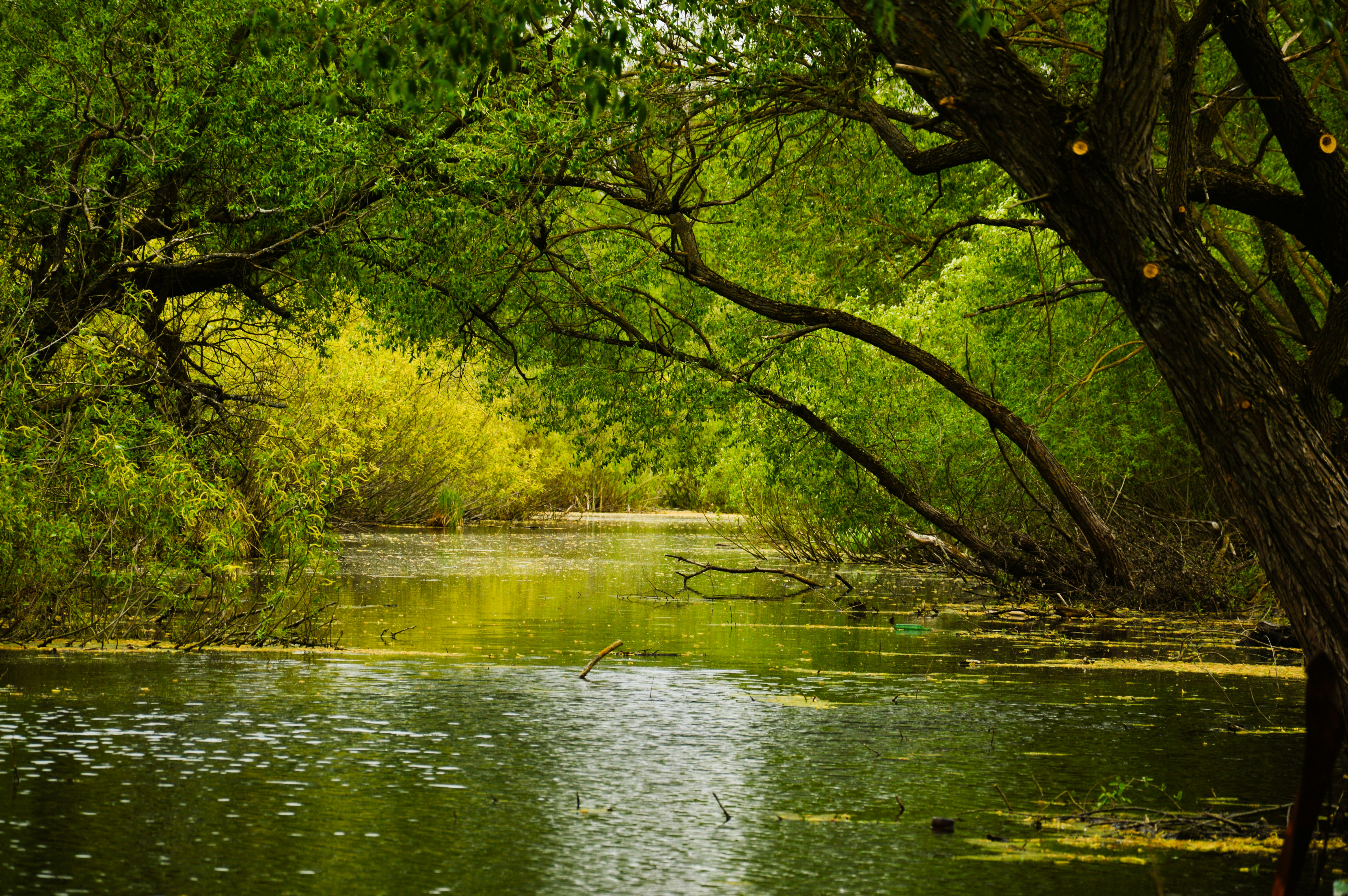 Photo by beauty_is_everywhere