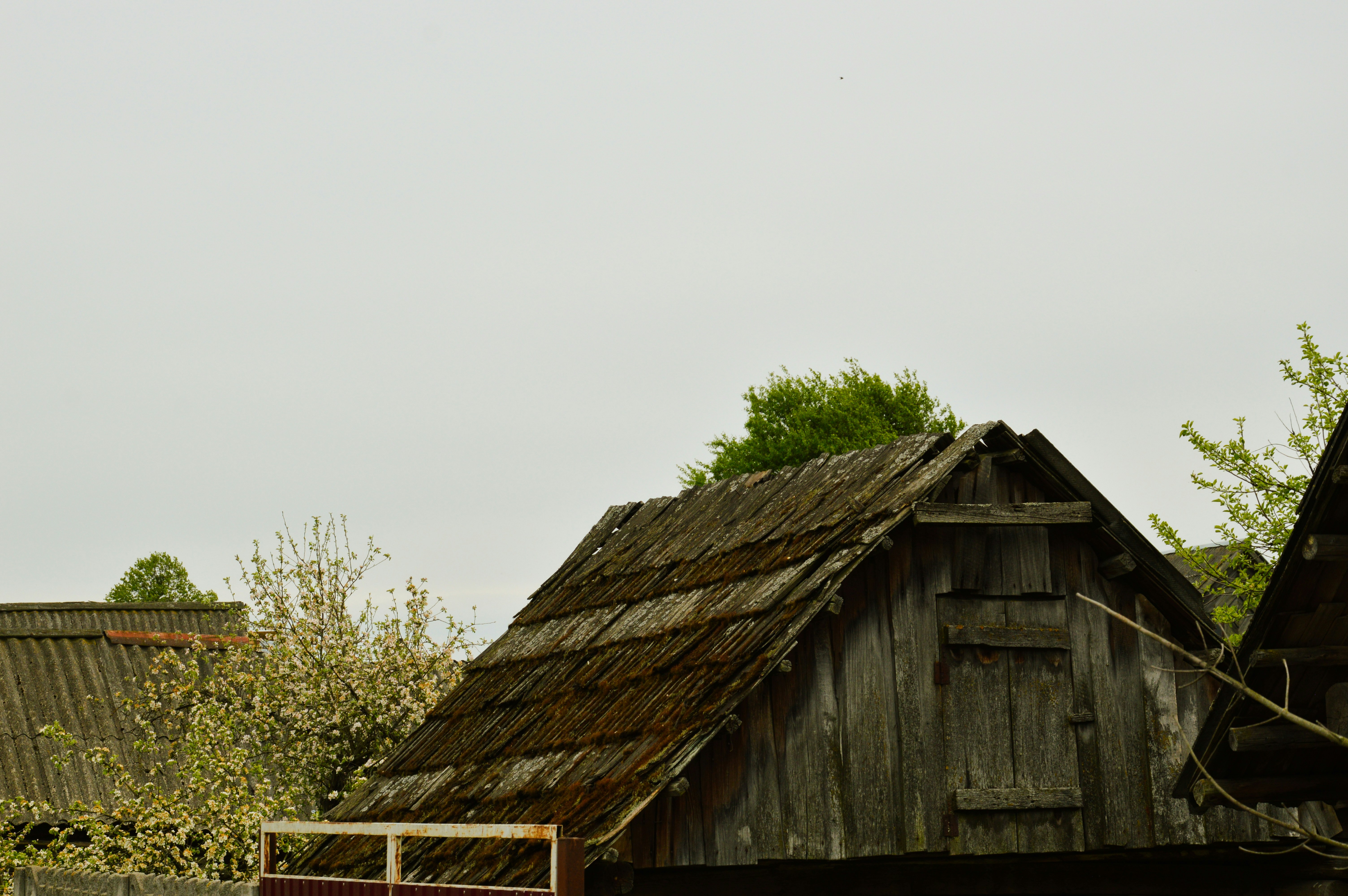 Photo by beauty_is_everywhere